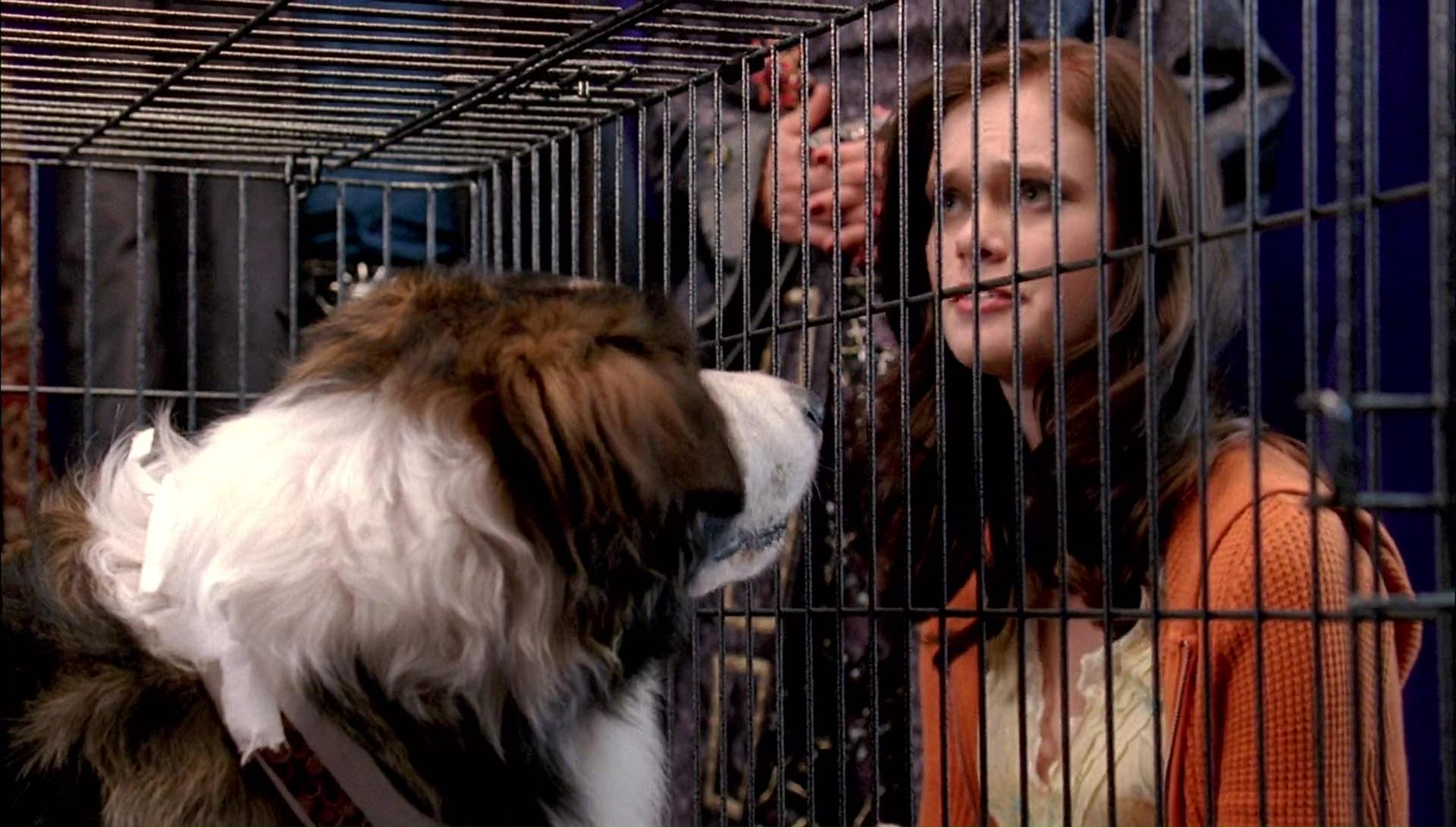 Return to Halloweentown (2006) movie still 9955