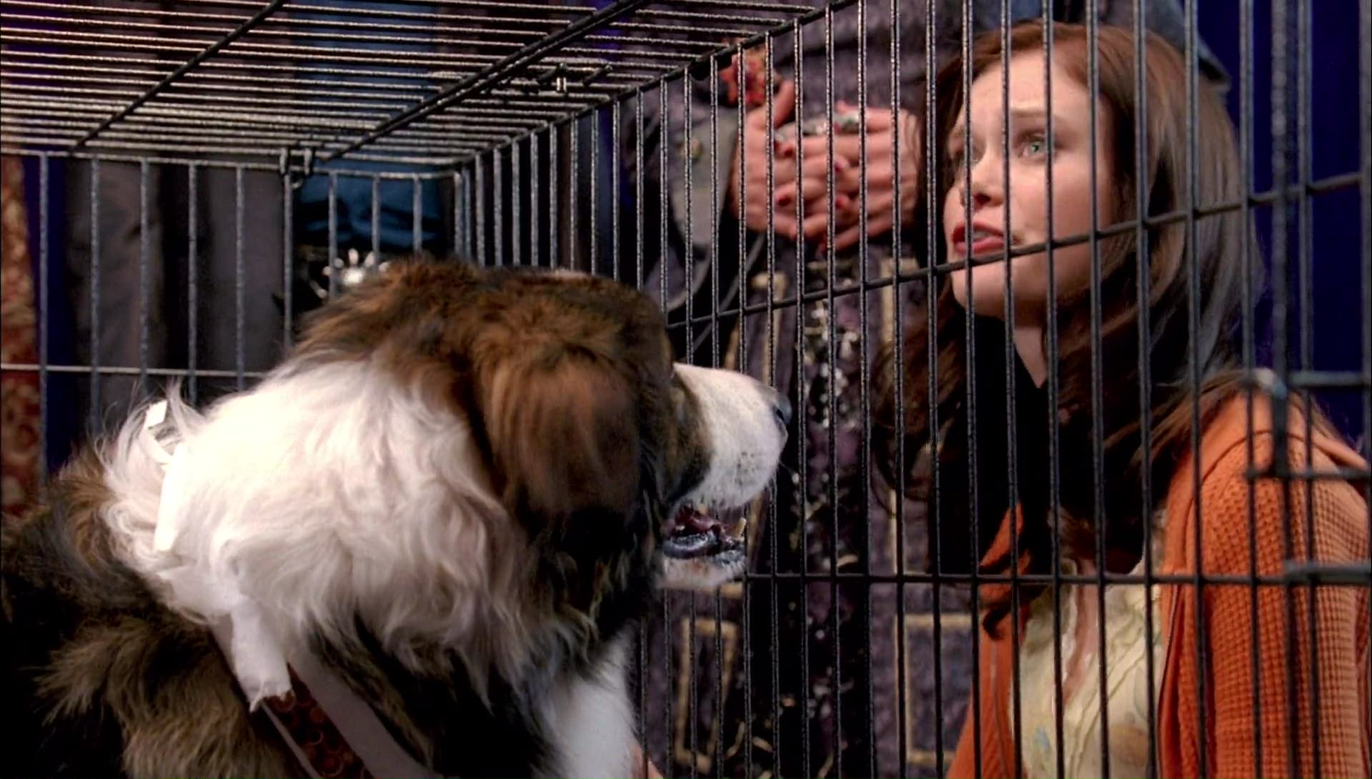 Return to Halloweentown (2006) screencap 9957
