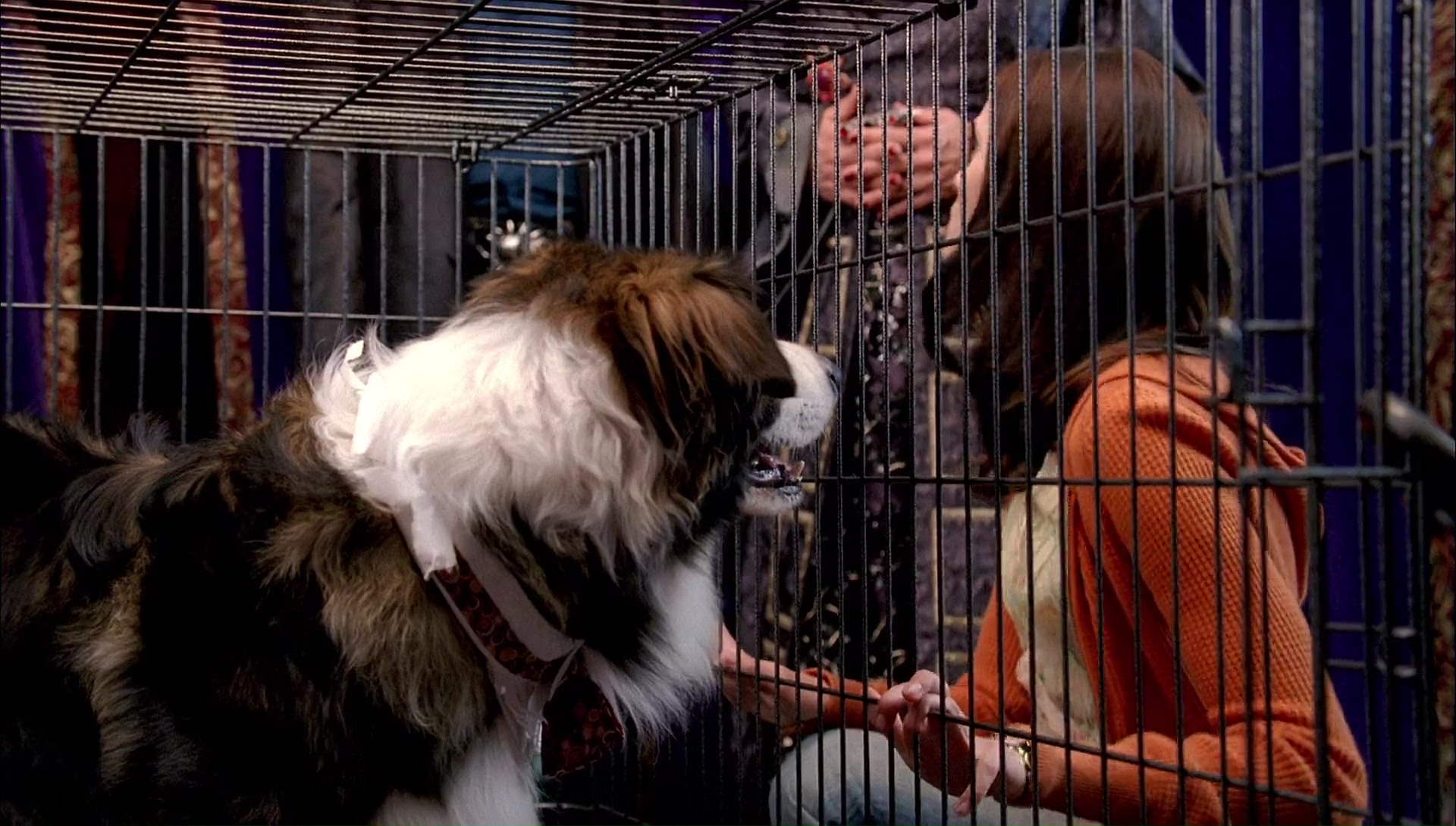 Return to Halloweentown (2006) movie still 9961