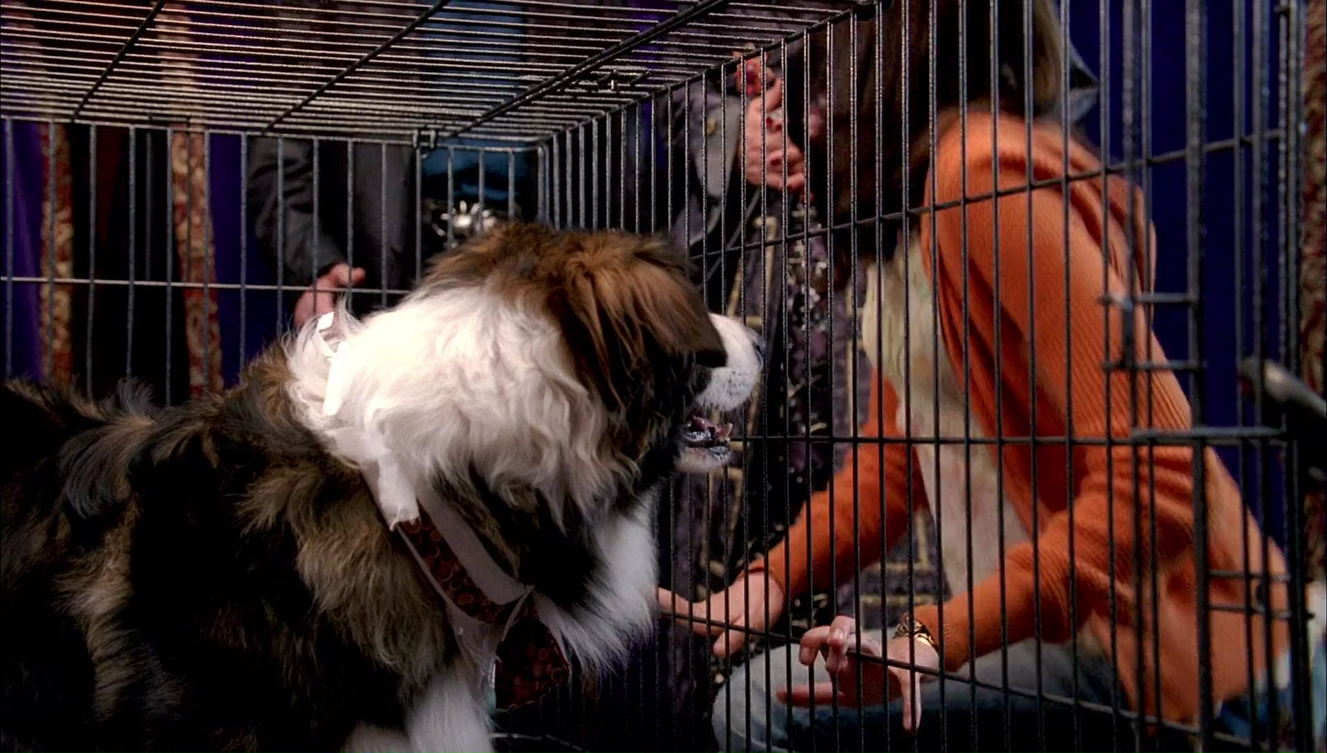 Return to Halloweentown (2006) HD screenshot 9962