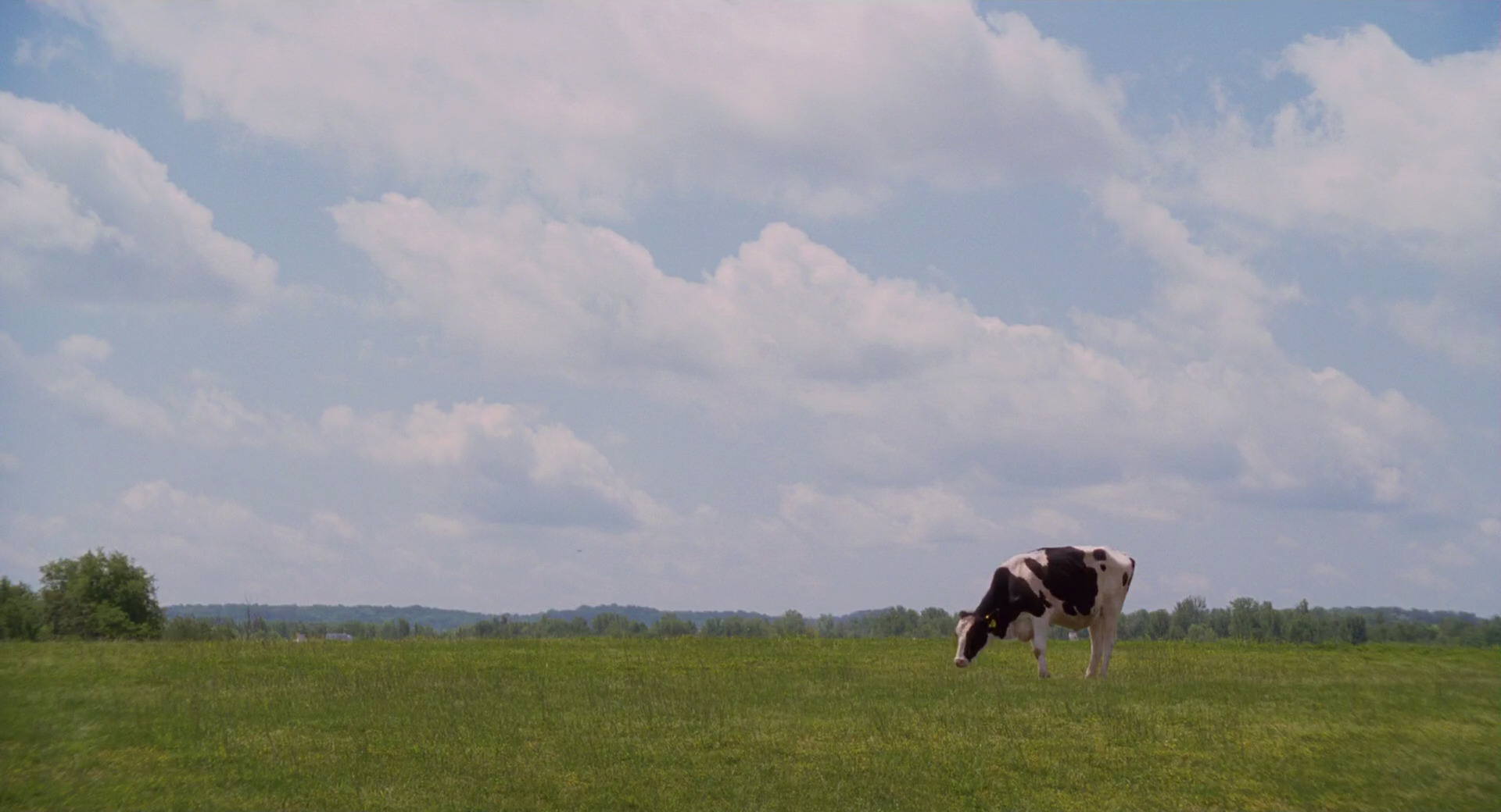 Hannah Montana: The Movie (2009) HD screenshot 2216