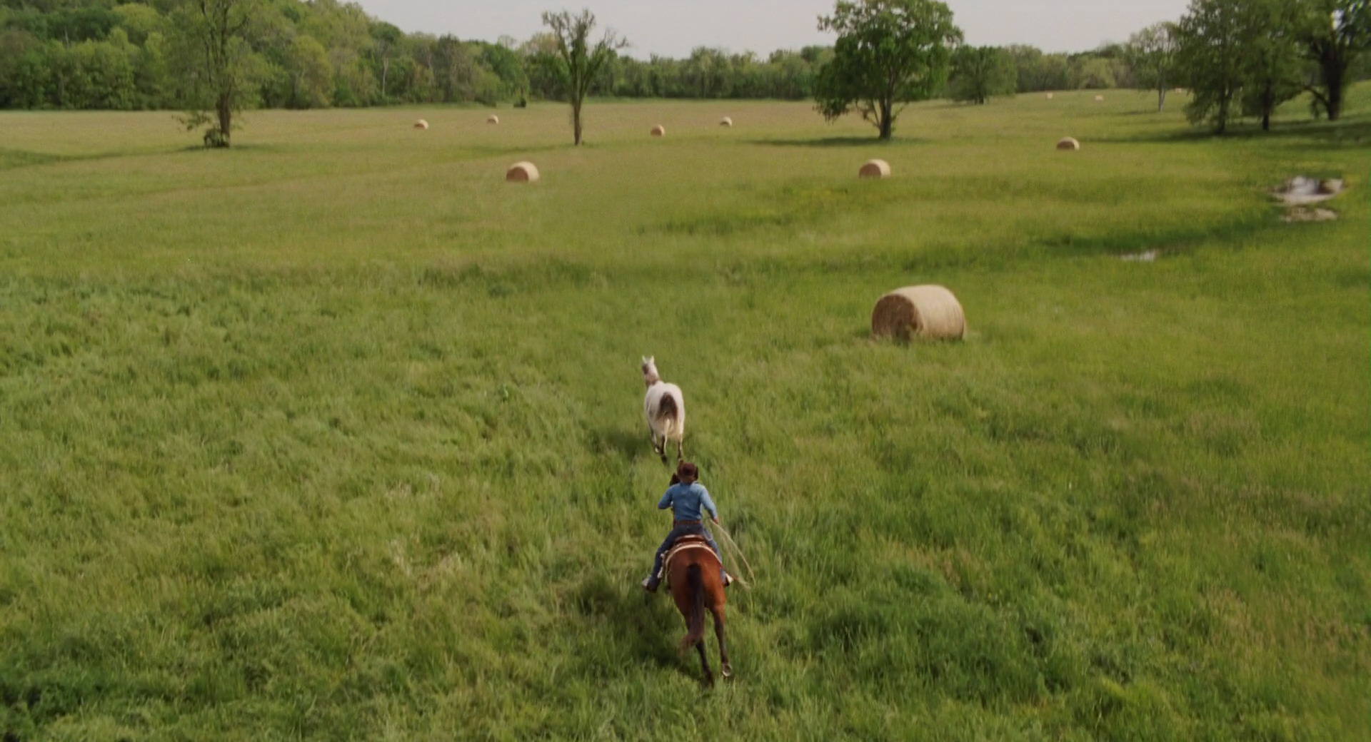 Hannah Montana: The Movie (2009) HD screenshot 2657
