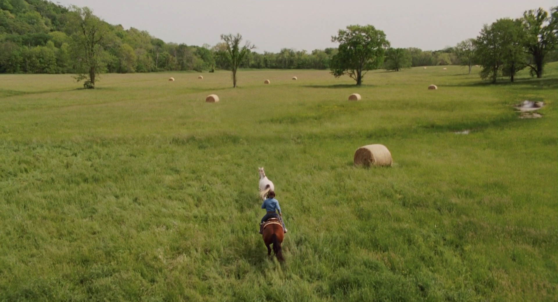 Hannah Montana: The Movie (2009) screencap 2658