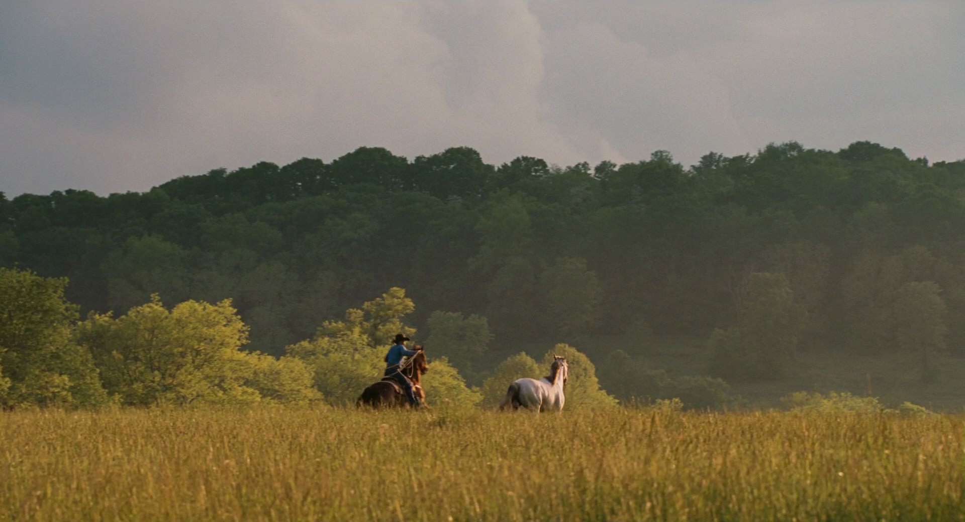 Hannah Montana: The Movie (2009) HD screenshot 2669