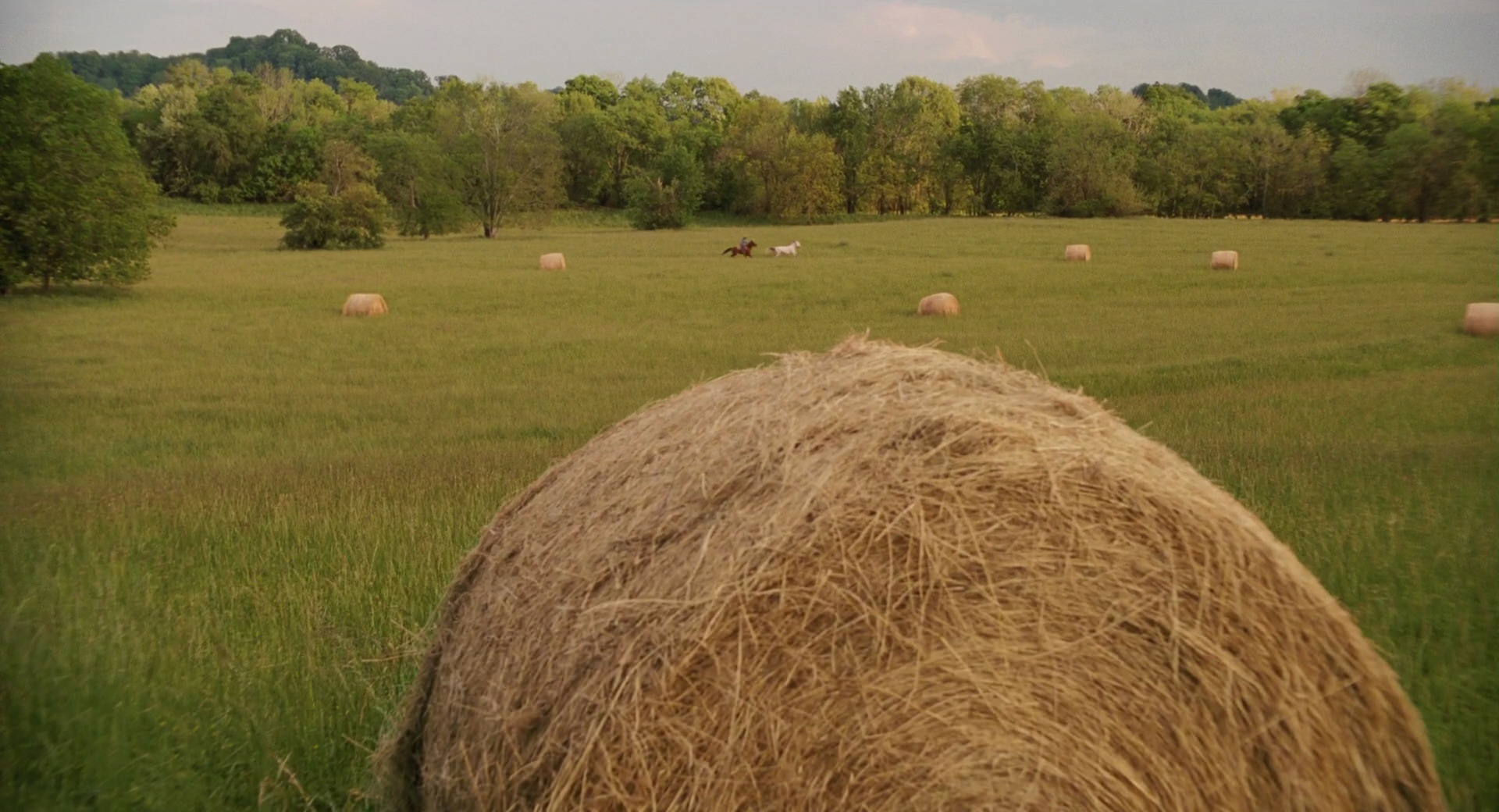 Hannah Montana: The Movie (2009) HD screenshot 2675
