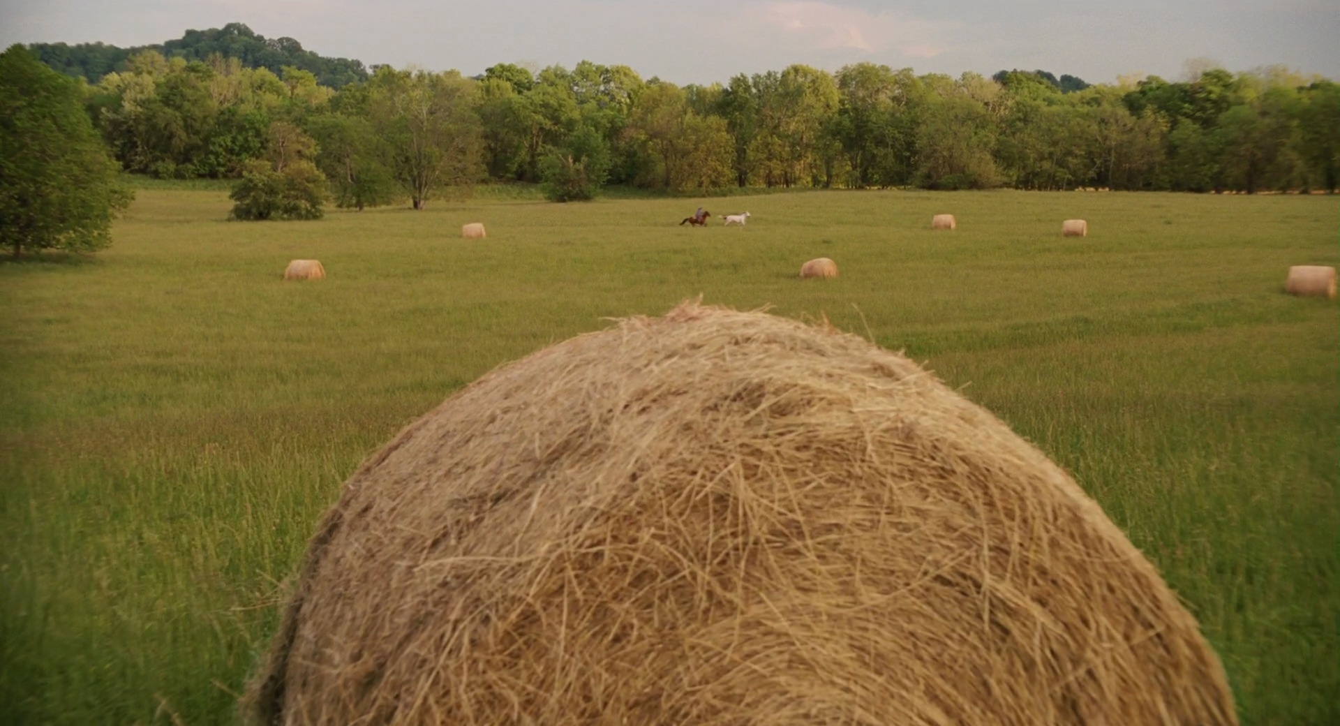 Hannah Montana: The Movie (2009) screencap 2676