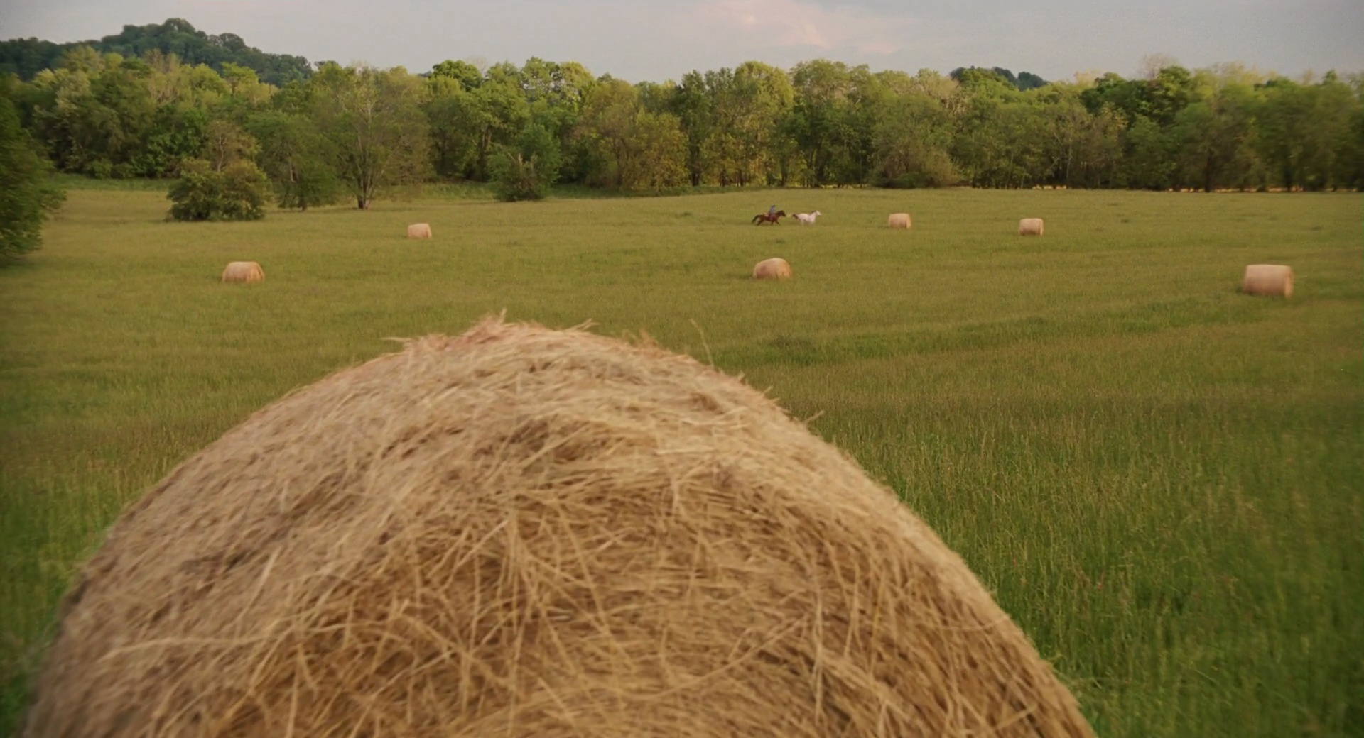 Hannah Montana: The Movie (2009) HD screenshot 2678