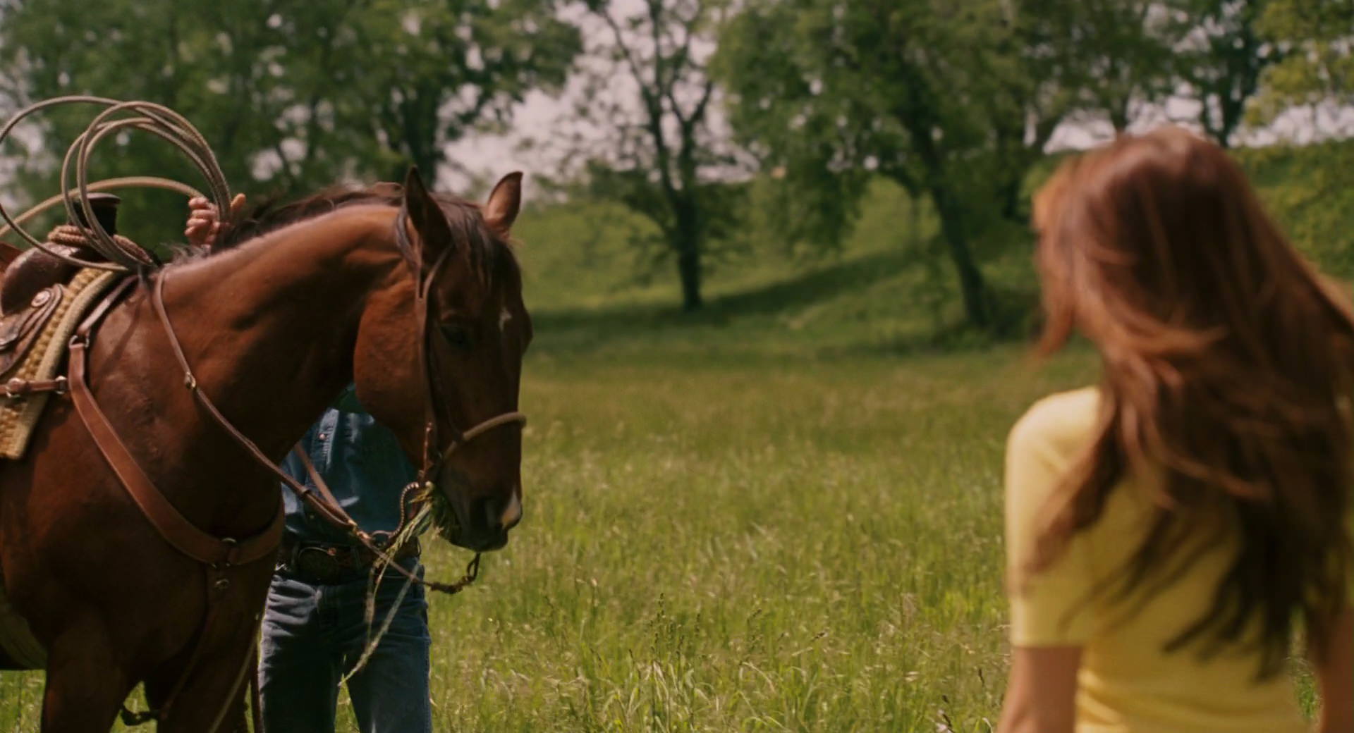Hannah Montana: The Movie (2009) screencap 2742