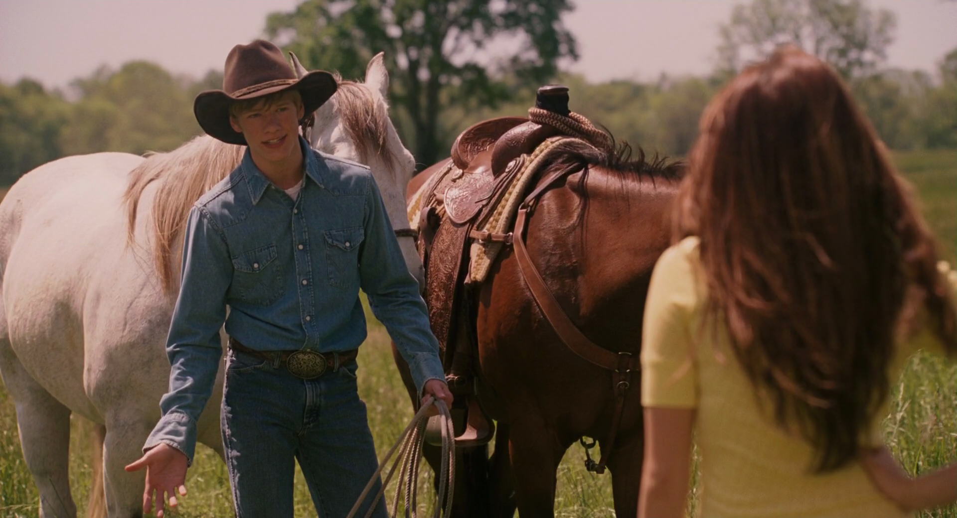 Hannah Montana: The Movie (2009) movie still 2794