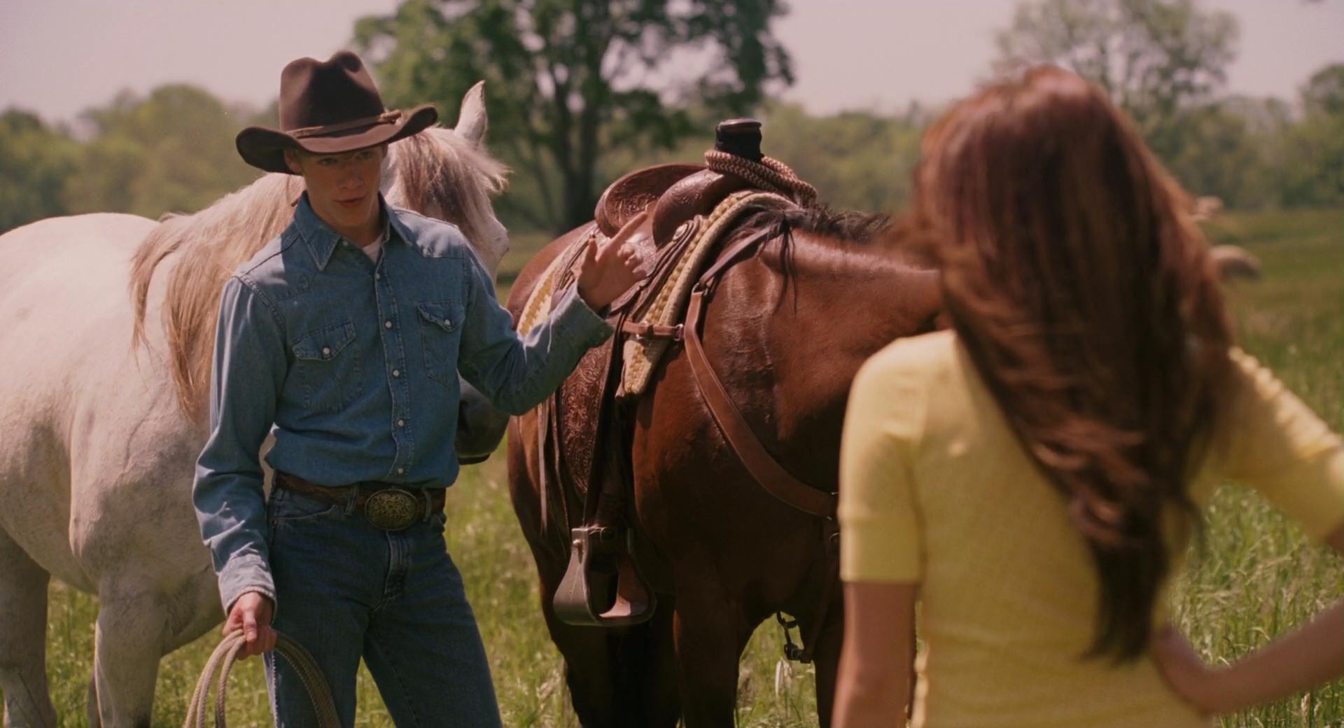 Hannah Montana: The Movie (2009) movie still 2803