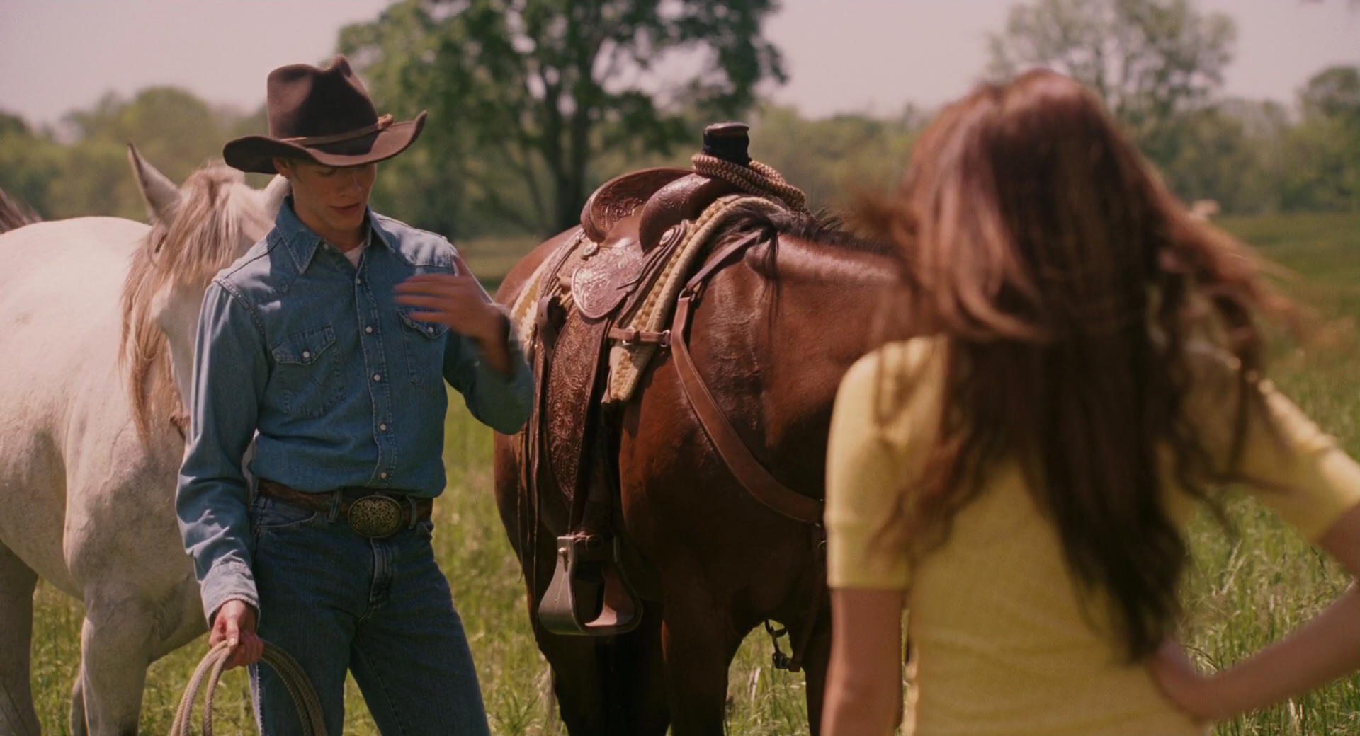 Hannah Montana: The Movie (2009) movie still 2806