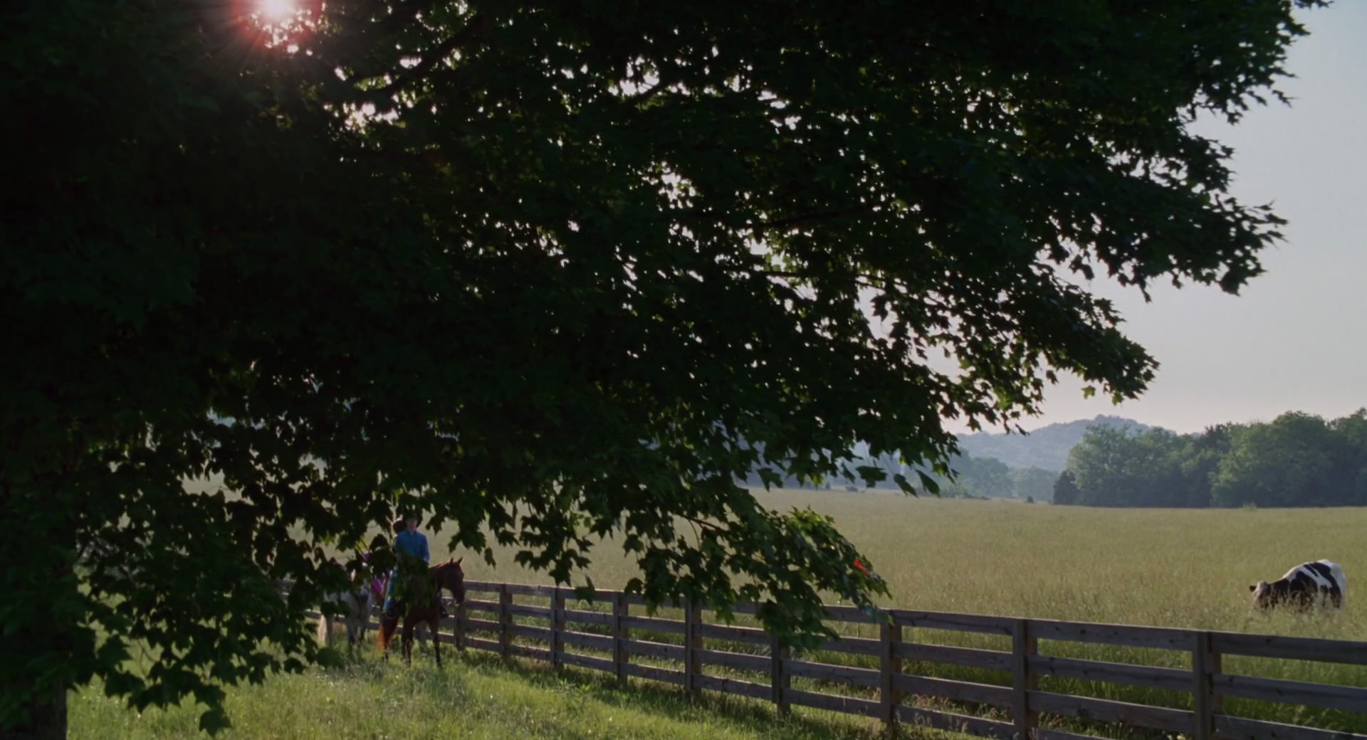 Hannah Montana: The Movie (2009) screencap 2847