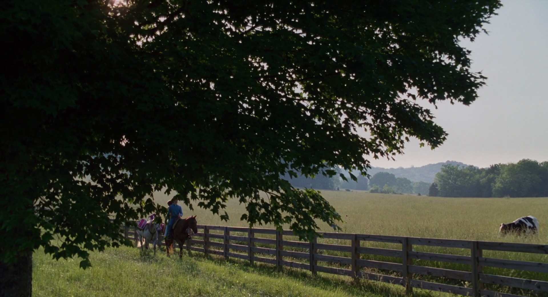 Hannah Montana: The Movie (2009) movie still 2848