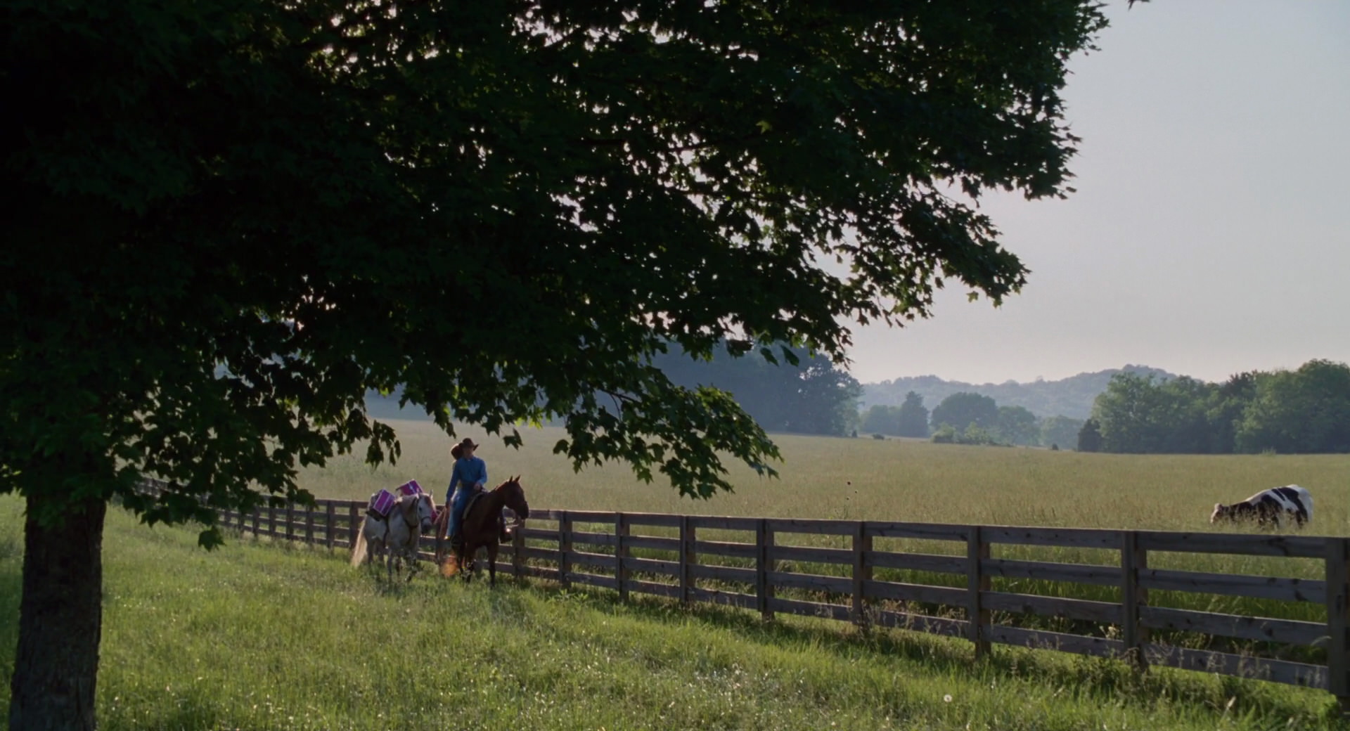 Hannah Montana: The Movie (2009) screencap 2850