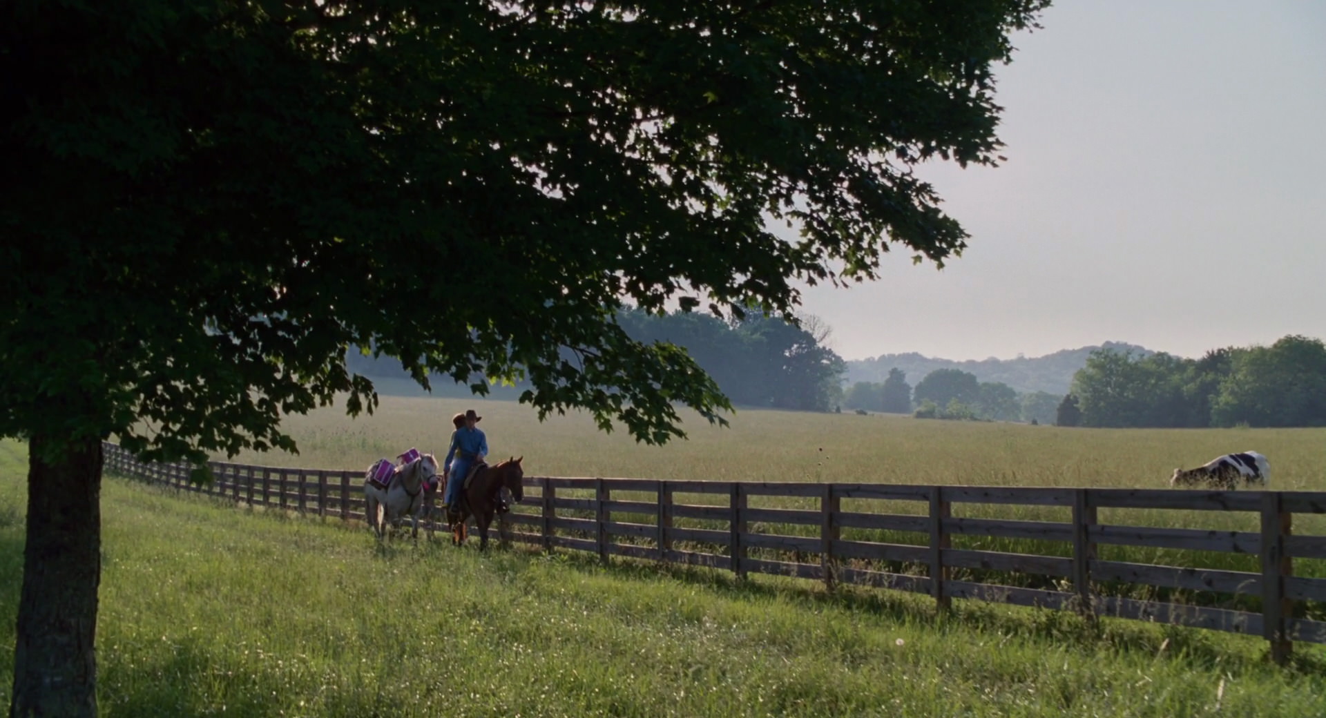 Hannah Montana: The Movie (2009) movie still 2851