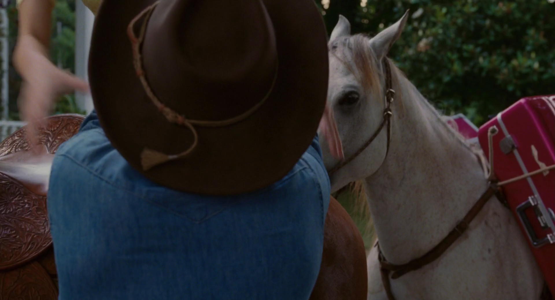 Hannah Montana: The Movie (2009) screencap 2958
