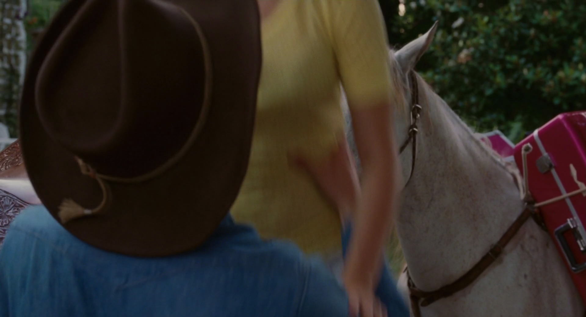 Hannah Montana: The Movie (2009) movie still 2959
