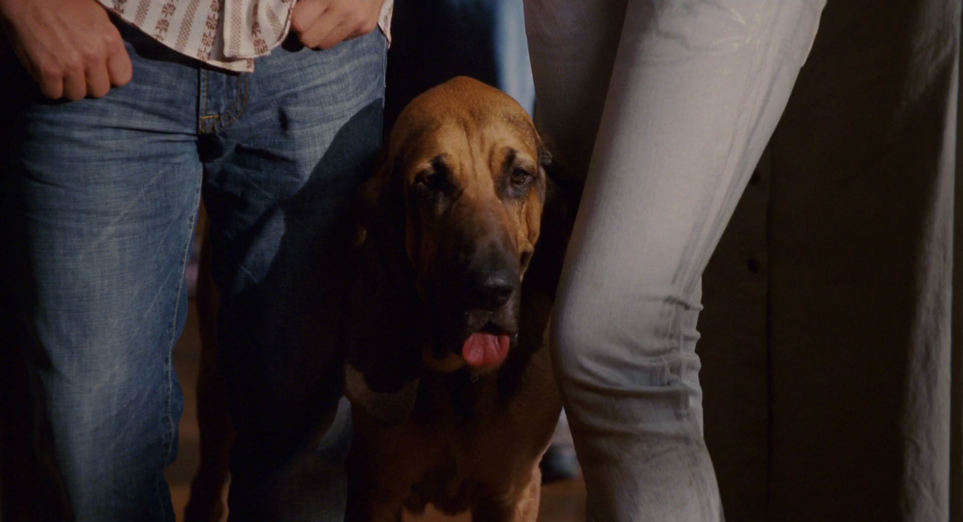 Hannah Montana: The Movie (2009) movie still 3400