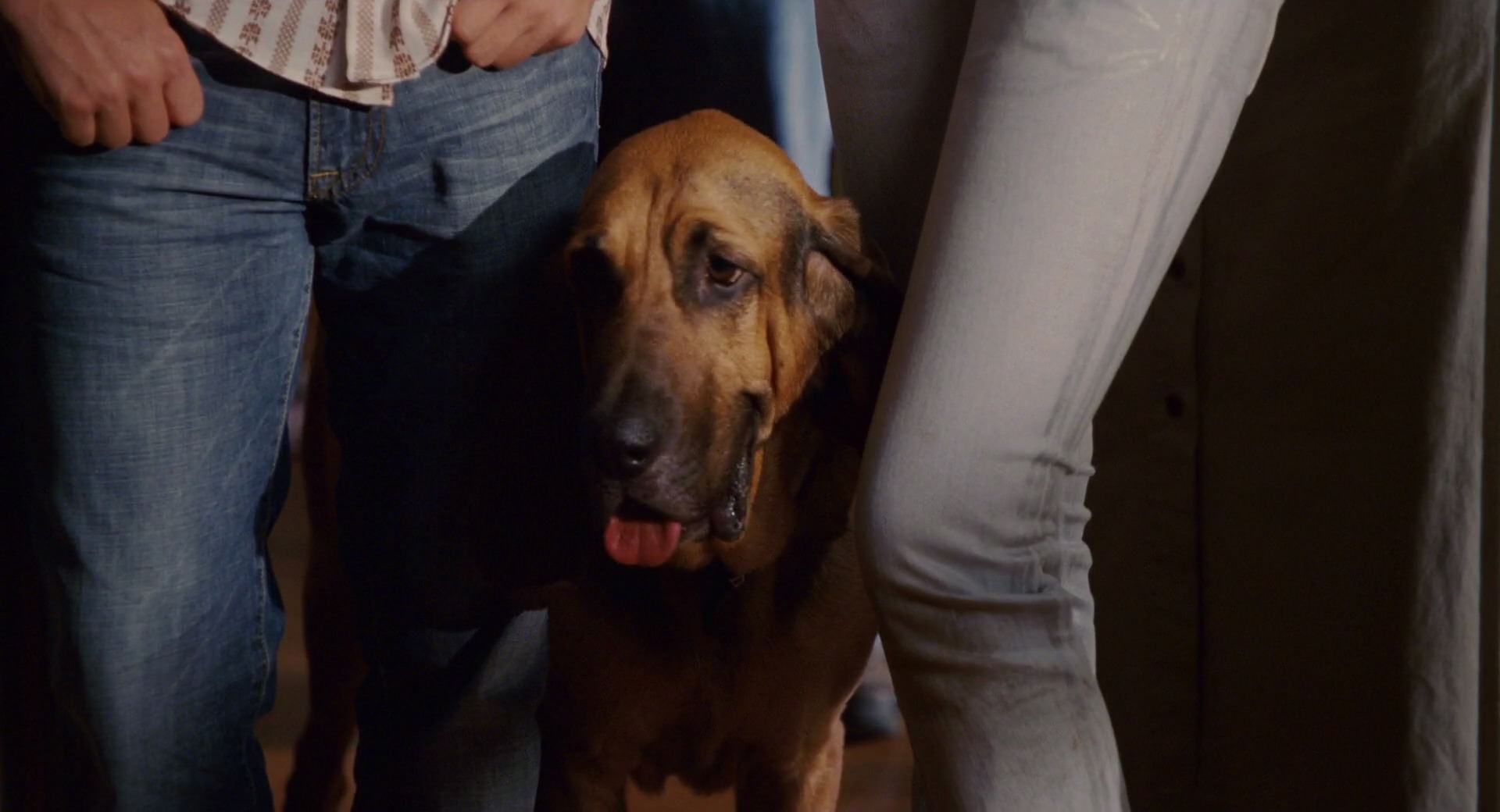 Hannah Montana: The Movie (2009) HD screenshot 3401