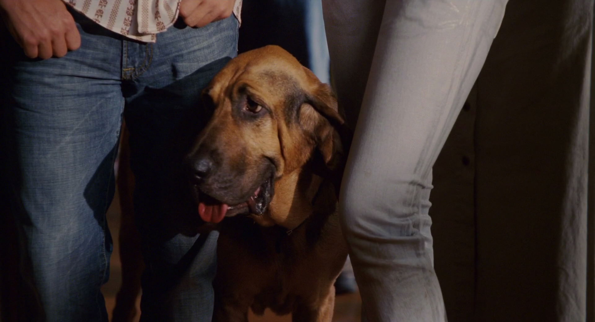 Hannah Montana: The Movie (2009) screencap 3402