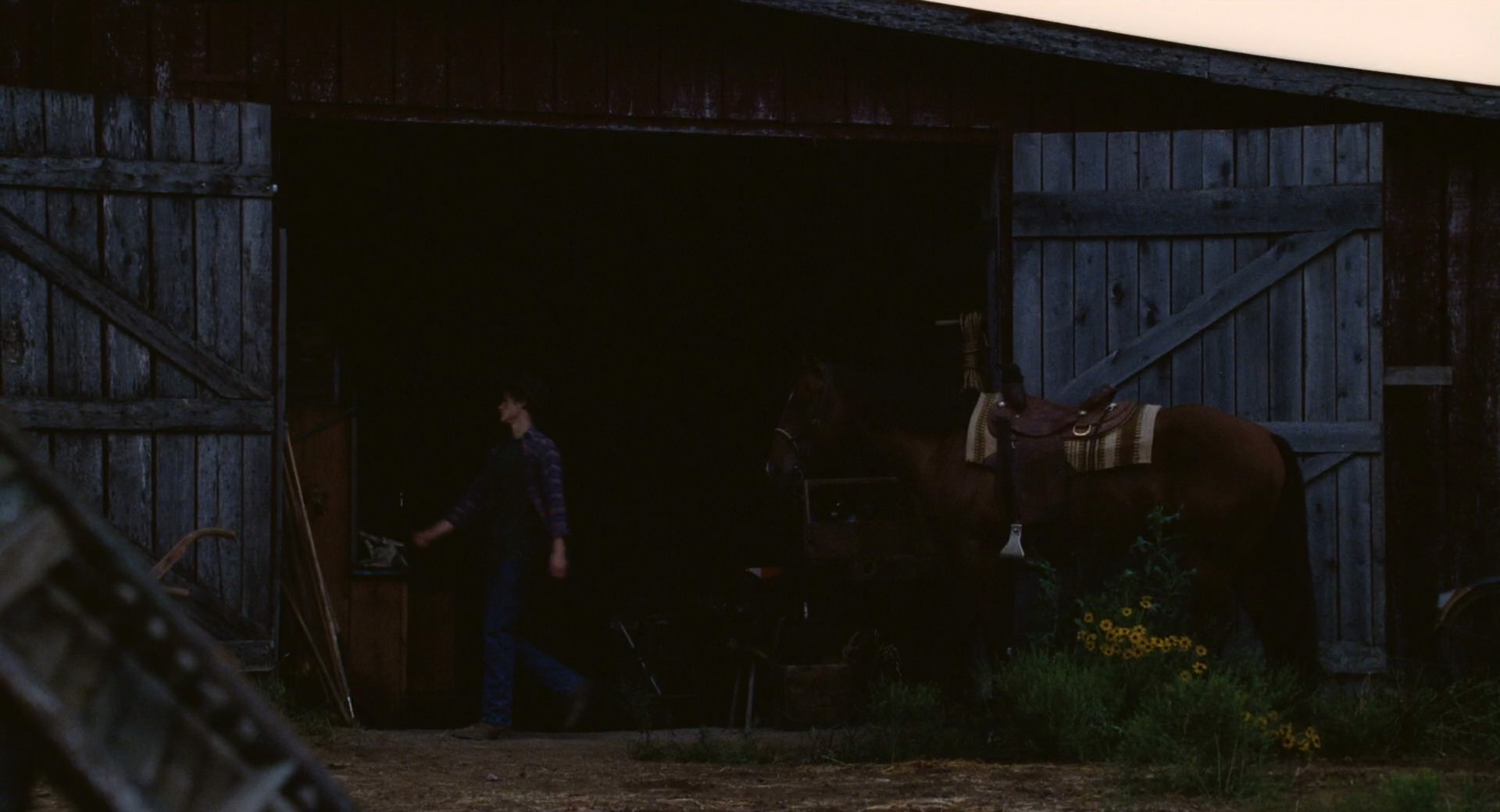 Hannah Montana: The Movie (2009) screencap 3783
