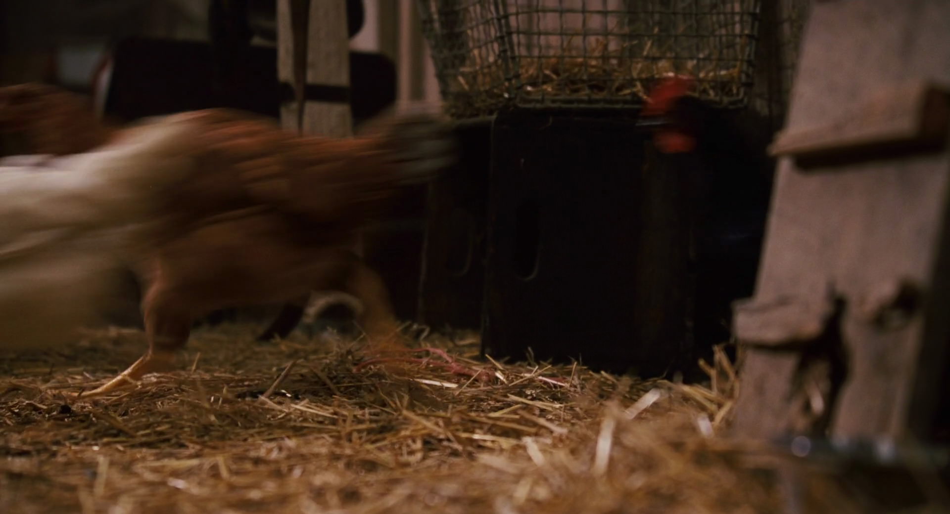 Hannah Montana: The Movie (2009) screencap 3876