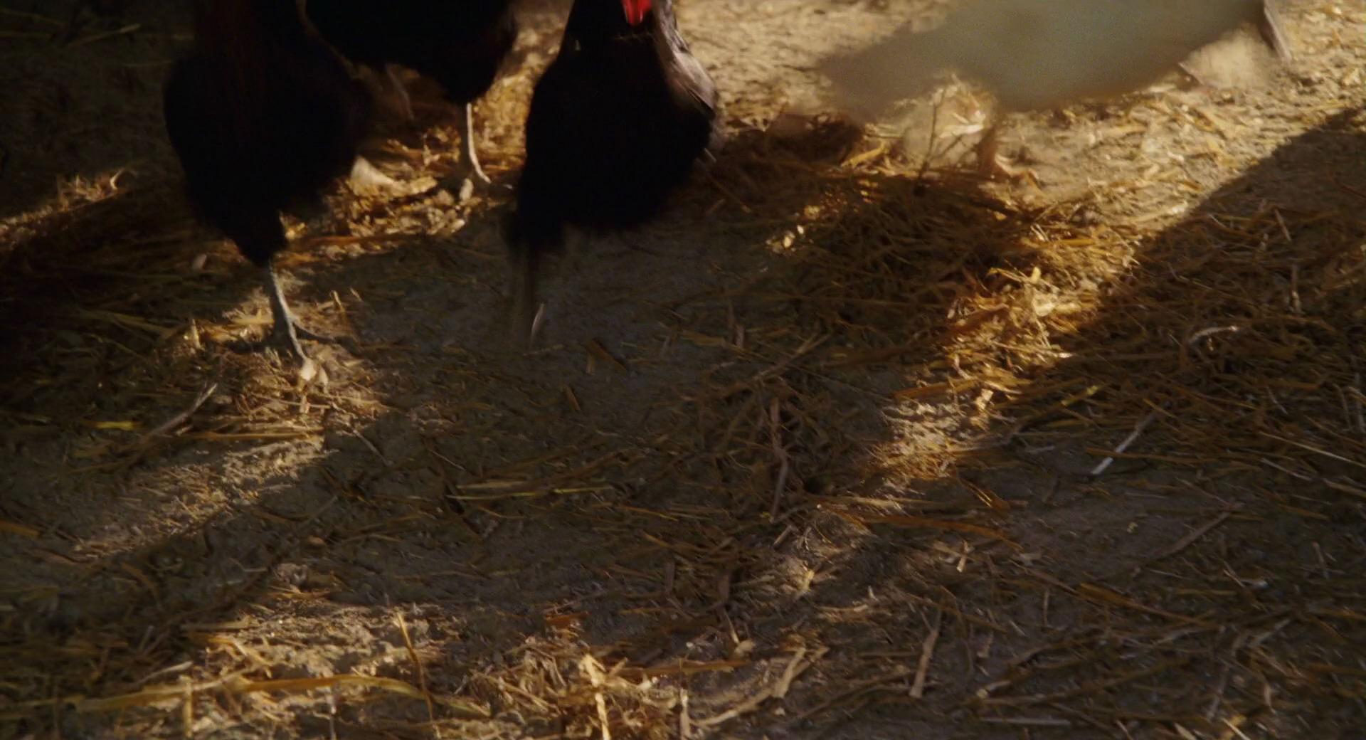 Hannah Montana: The Movie (2009) HD screenshot 3881