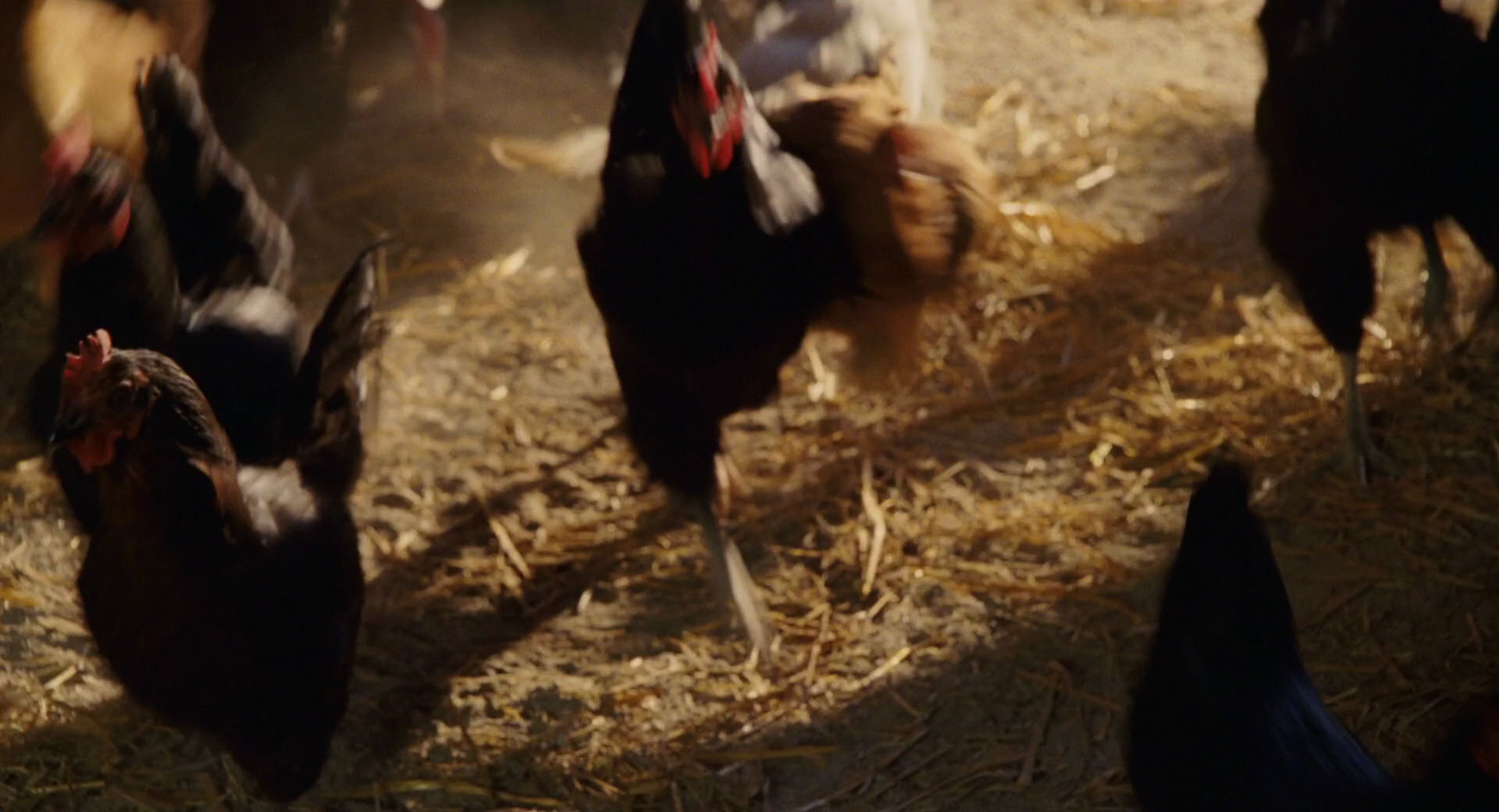 Hannah Montana: The Movie (2009) screencap 3882