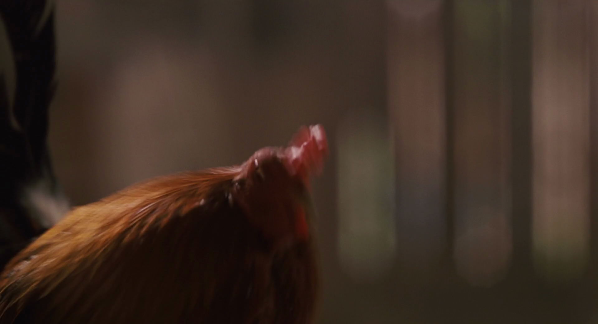 Hannah Montana: The Movie (2009) screencap 3936