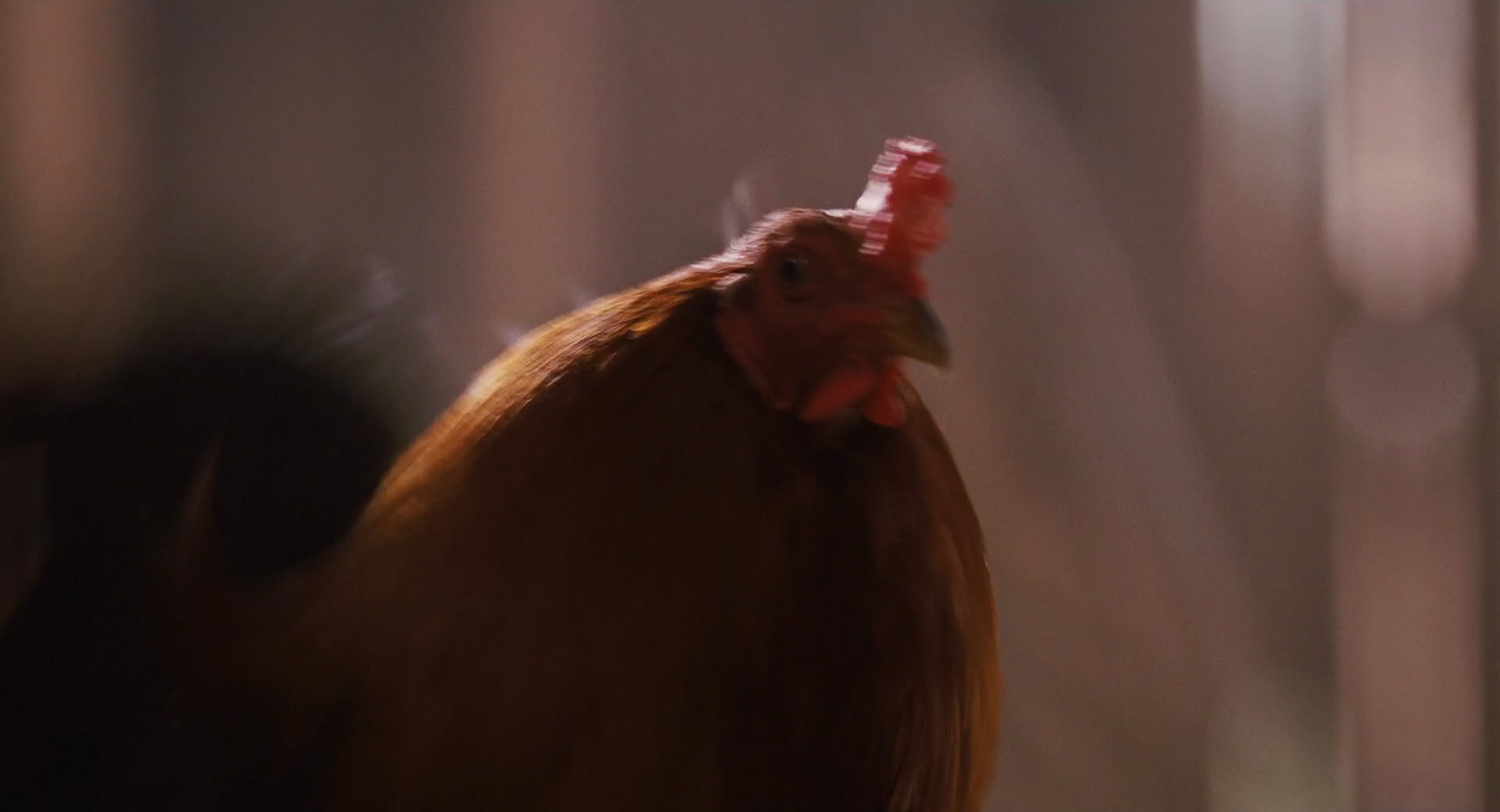 Hannah Montana: The Movie (2009) screencap 3951