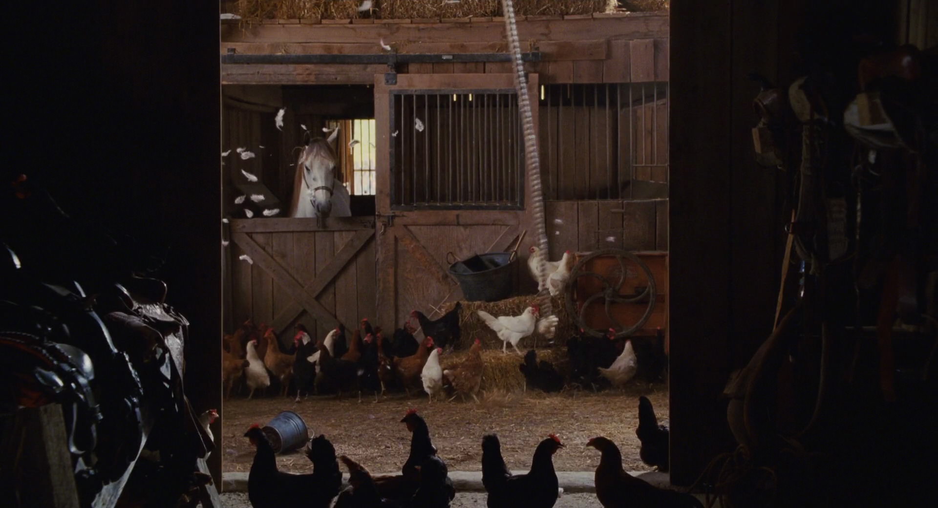 Hannah Montana: The Movie (2009) screencap 3981