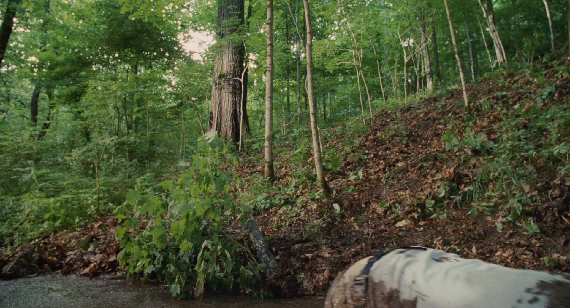 Hannah Montana: The Movie (2009) screencap 4920