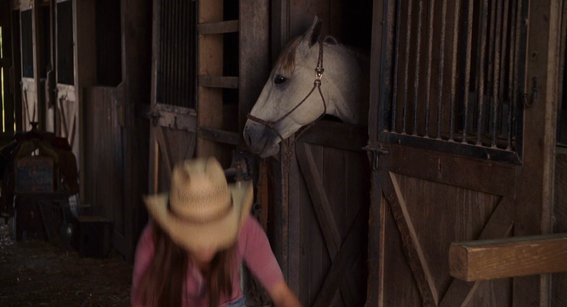 Hannah Montana: The Movie (2009) HD screenshot 5330