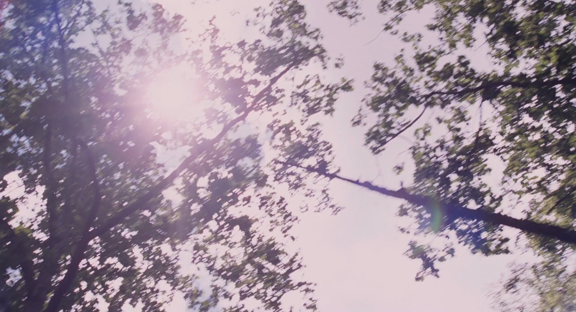 Hannah Montana: The Movie (2009) HD screenshot 5426