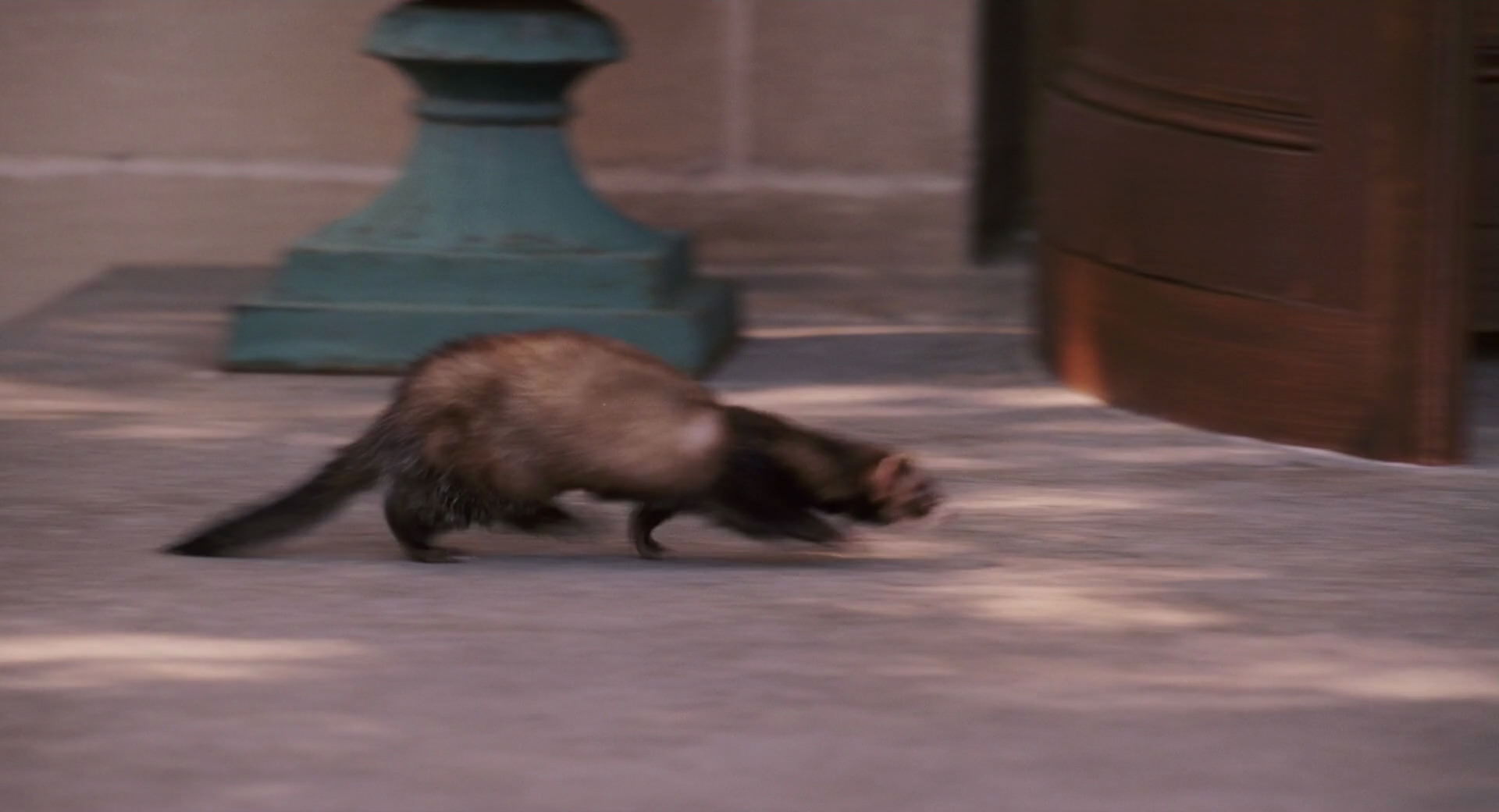 Hannah Montana: The Movie (2009) screencap 8487