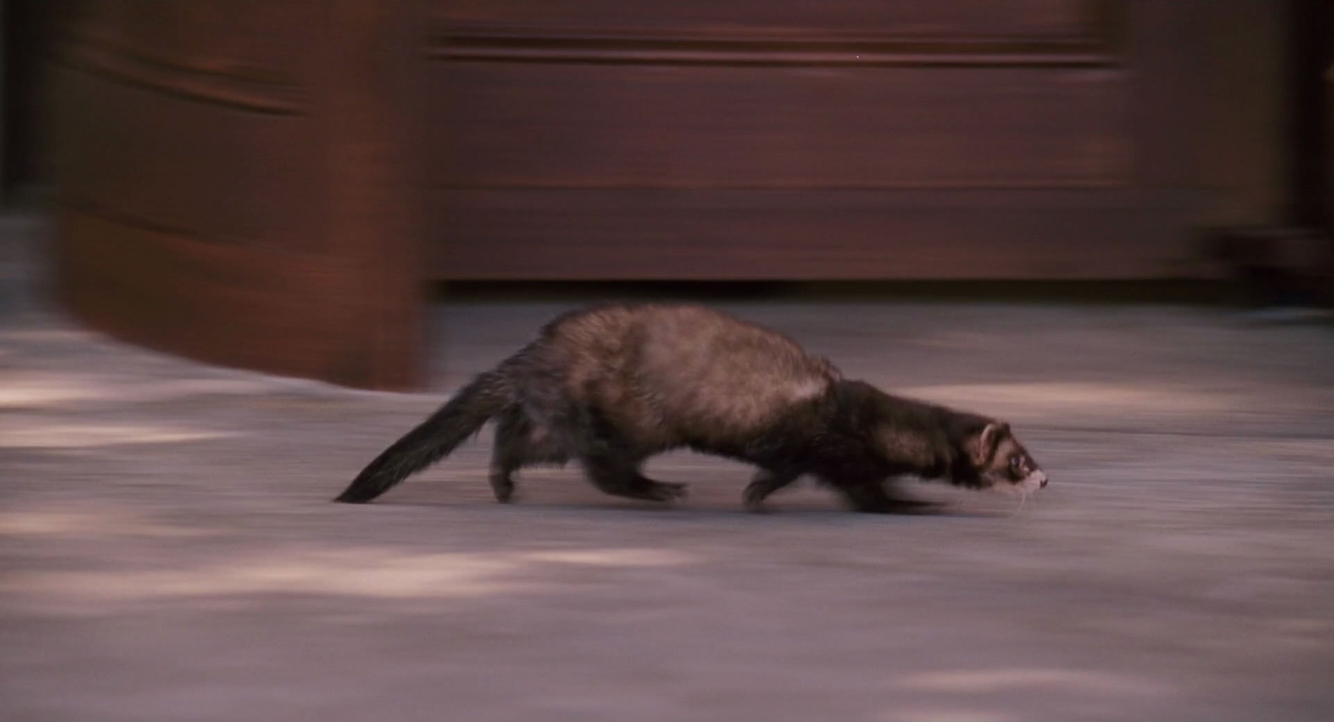 Hannah Montana: The Movie (2009) movie still 8488