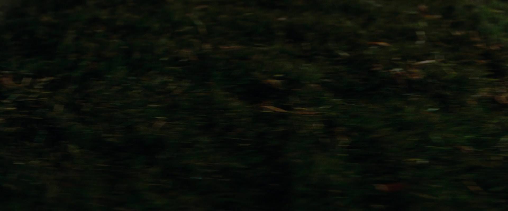 The Sorcerer’s Apprentice (2010) HD screenshot 10139