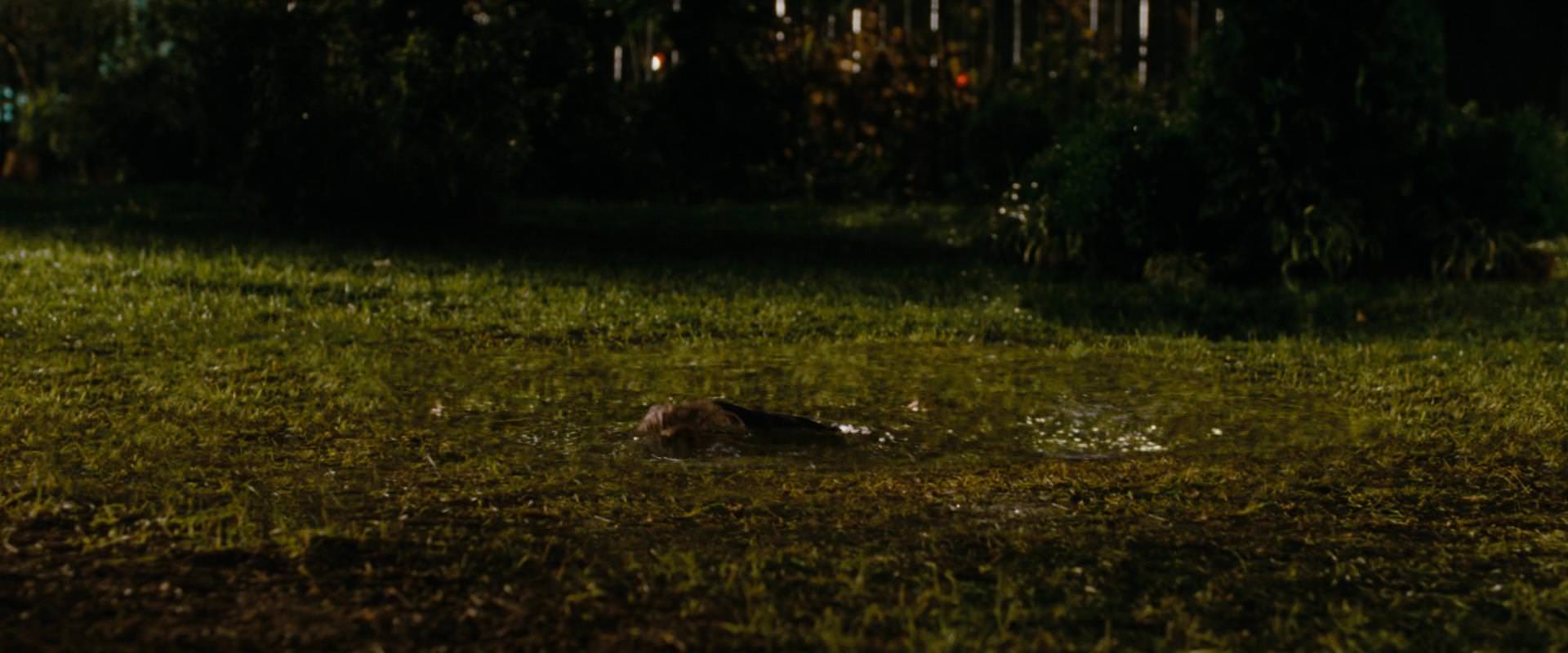 The Sorcerer’s Apprentice (2010) screencap 10188