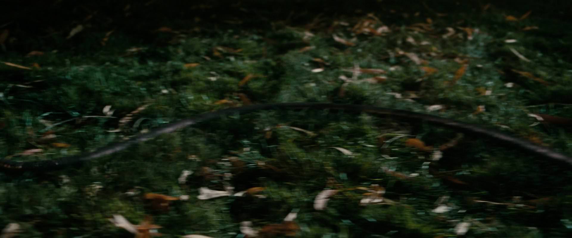 The Sorcerer’s Apprentice (2010) HD screenshot 10913