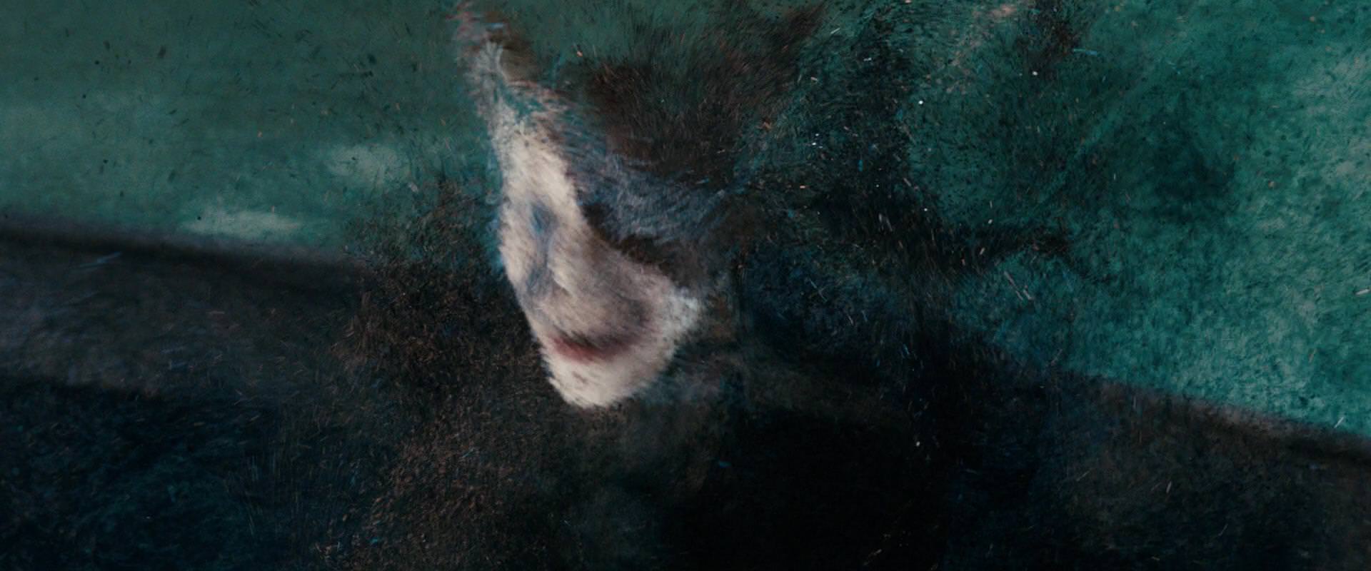 The Sorcerer’s Apprentice (2010) movie still 11026