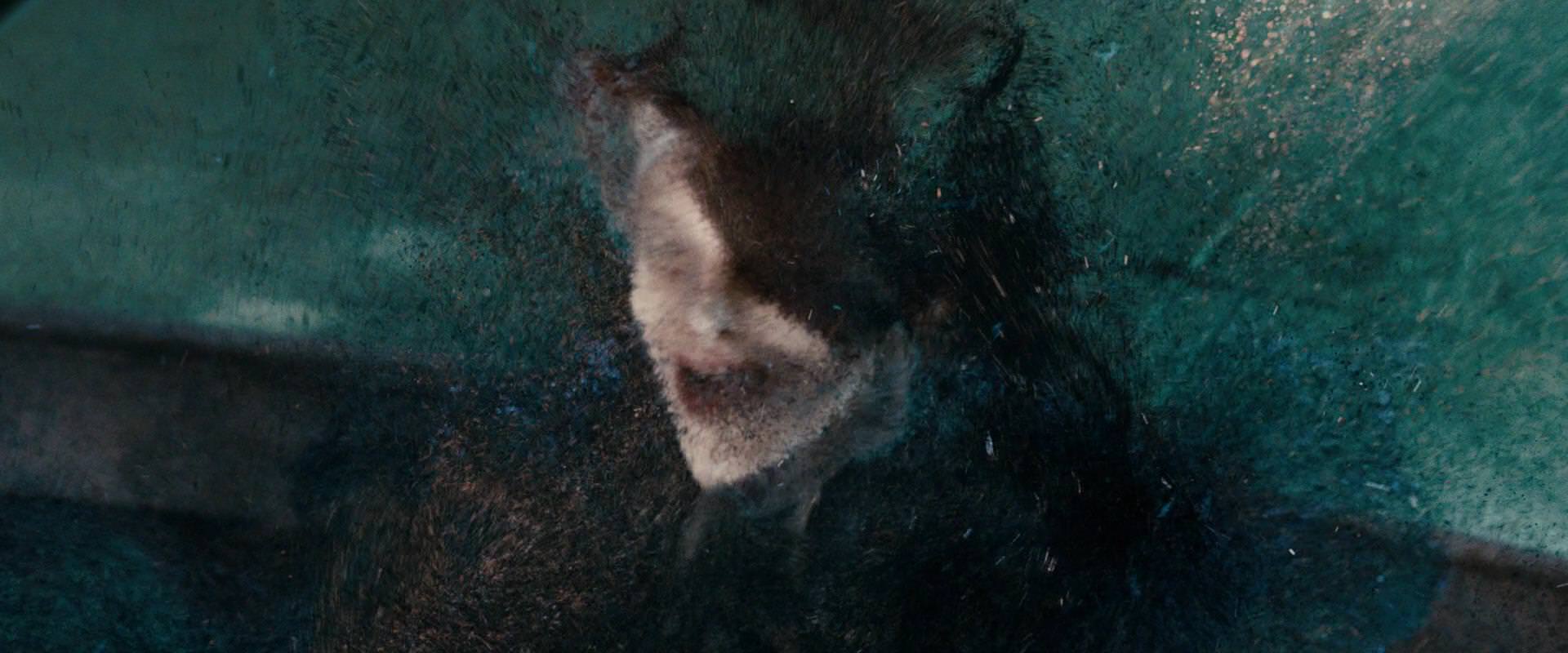 The Sorcerer’s Apprentice (2010) screencap 11028