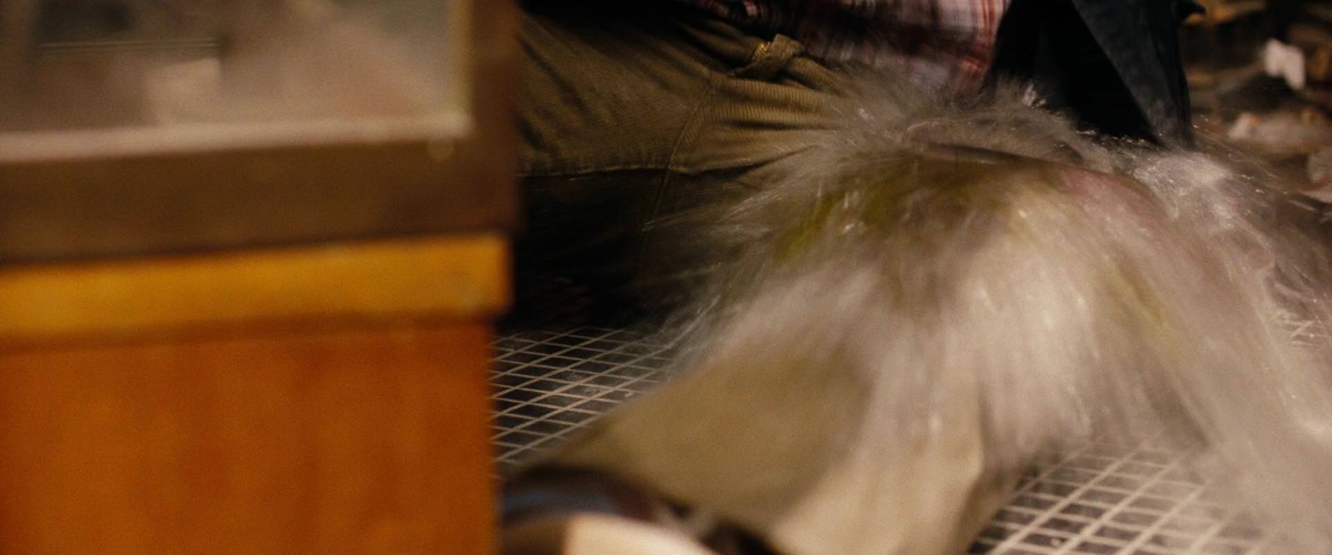 The Sorcerer’s Apprentice (2010) HD screenshot 1394