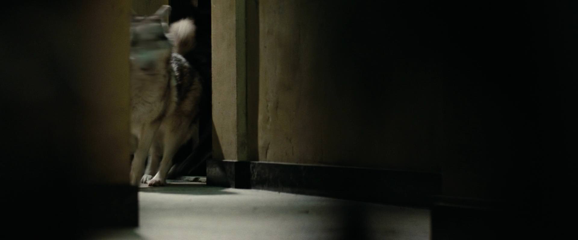 The Sorcerer’s Apprentice (2010) movie still 2584