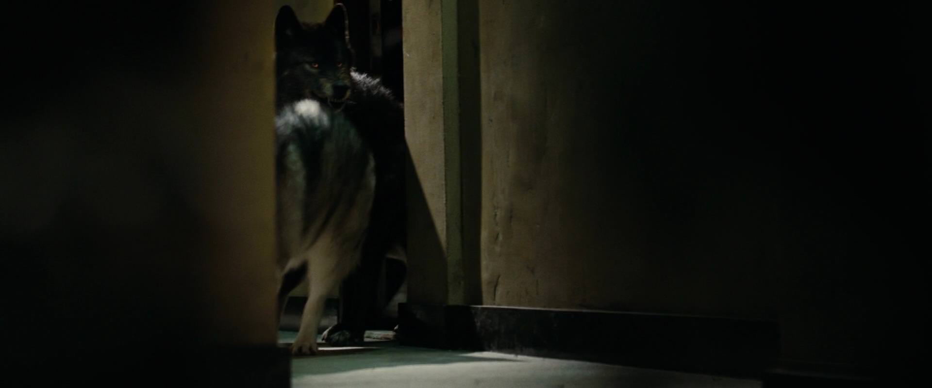 The Sorcerer’s Apprentice (2010) HD screenshot 2585