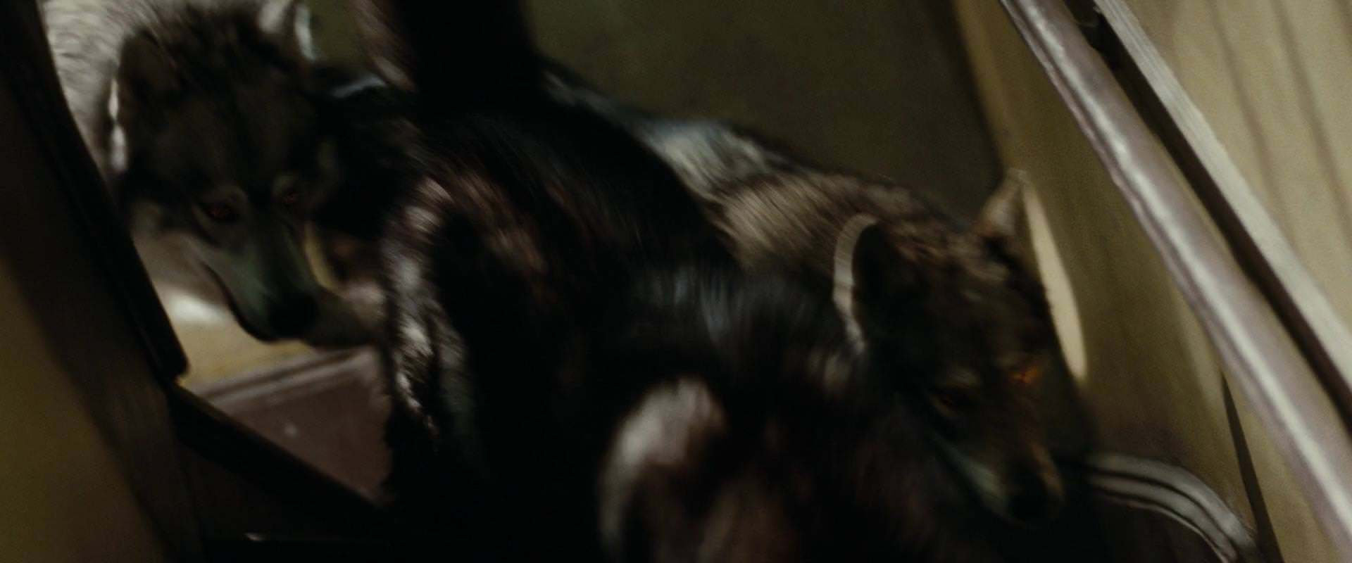 The Sorcerer’s Apprentice (2010) movie still 2590