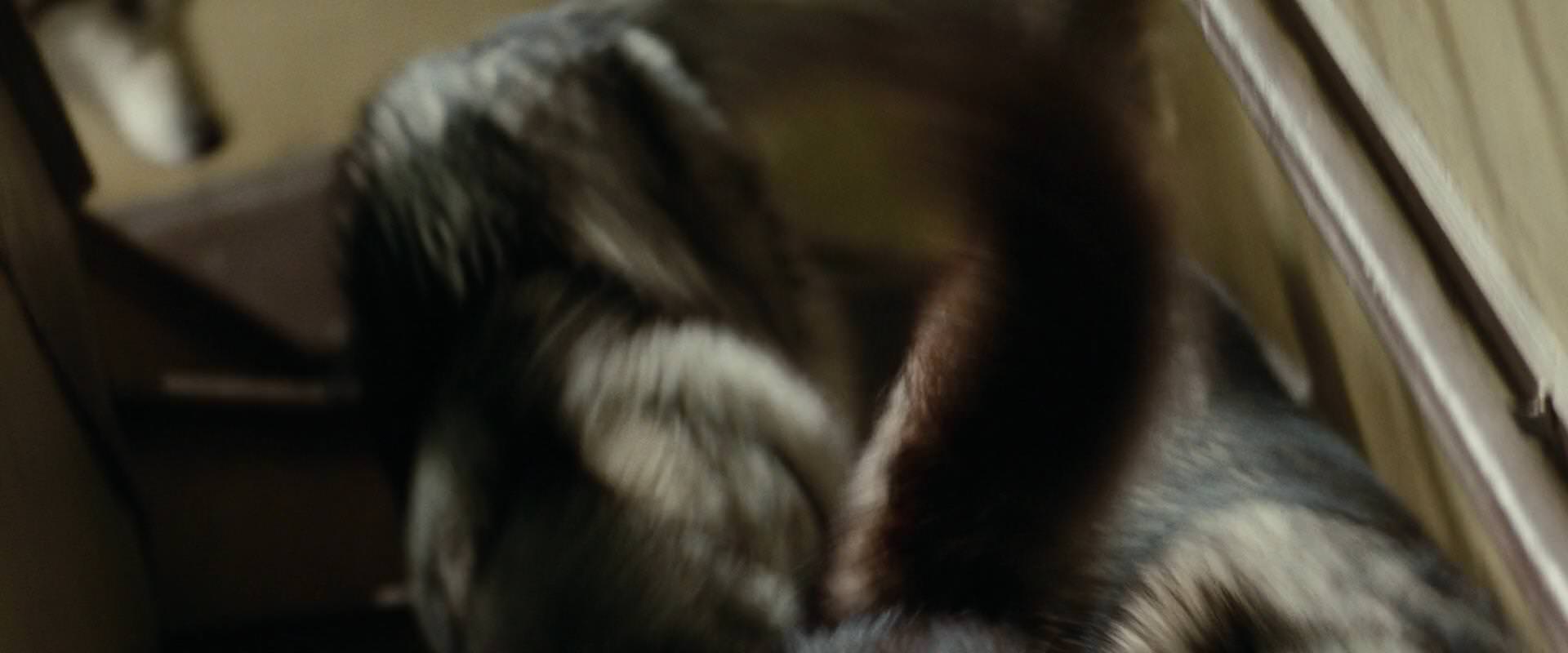 The Sorcerer’s Apprentice (2010) HD screenshot 2591