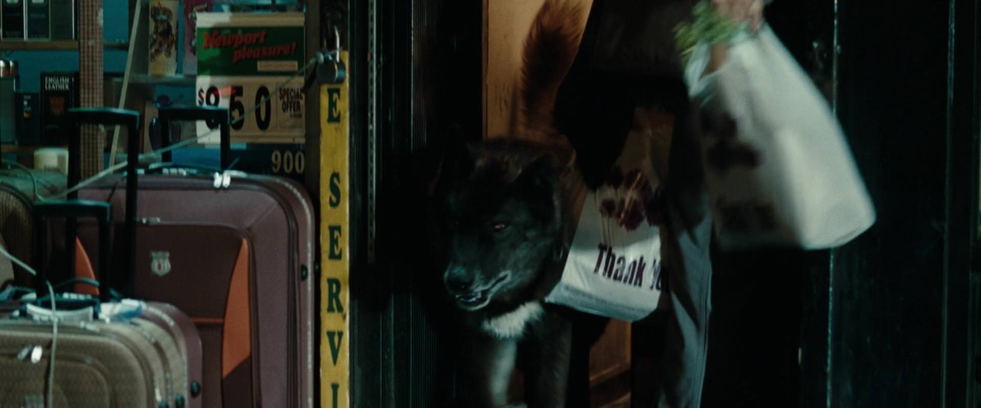 The Sorcerer’s Apprentice (2010) movie still 2605