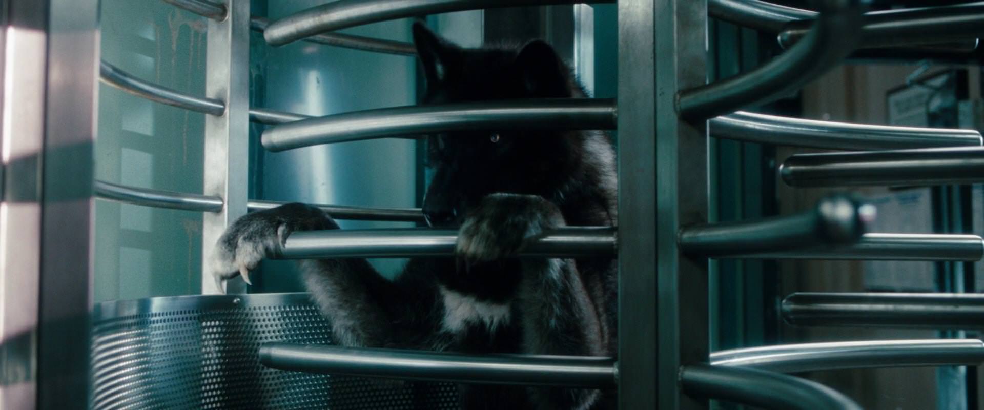 The Sorcerer’s Apprentice (2010) HD screenshot 2627