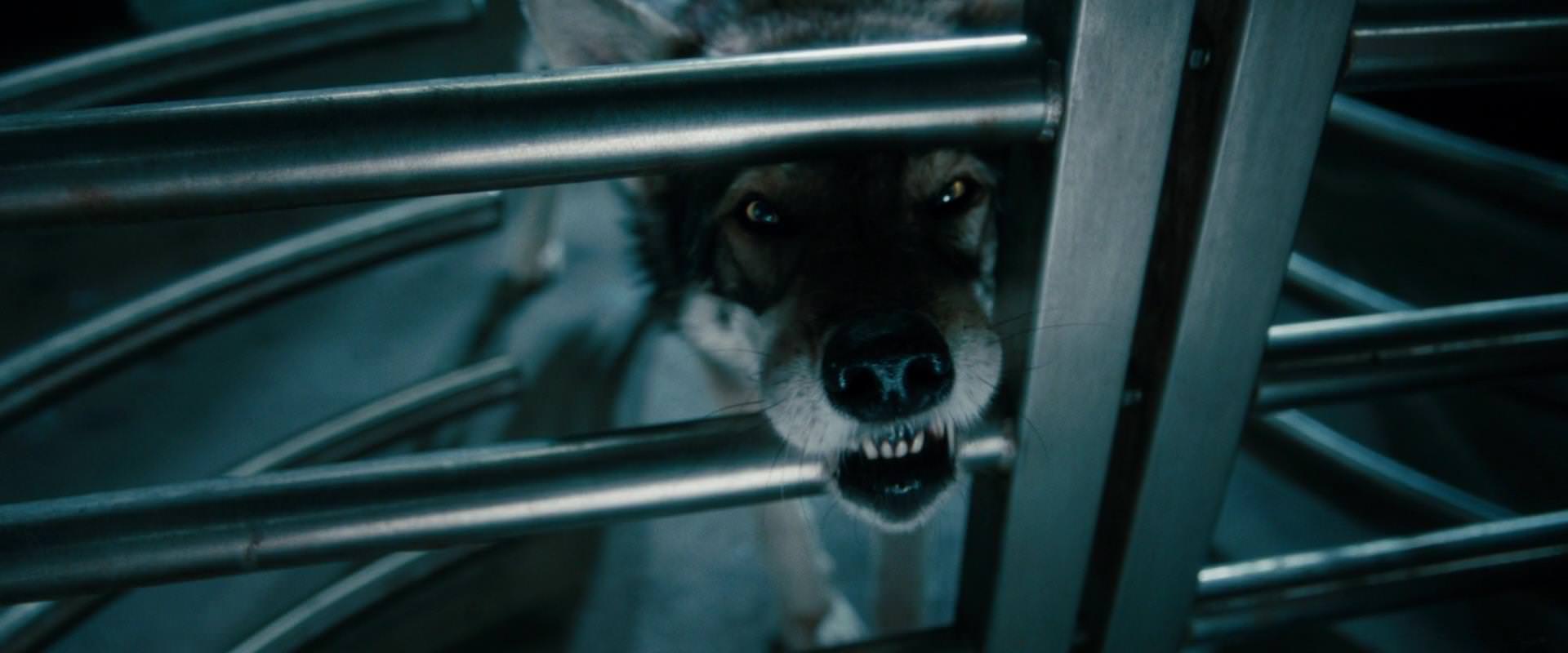 The Sorcerer’s Apprentice (2010) screencap 2631