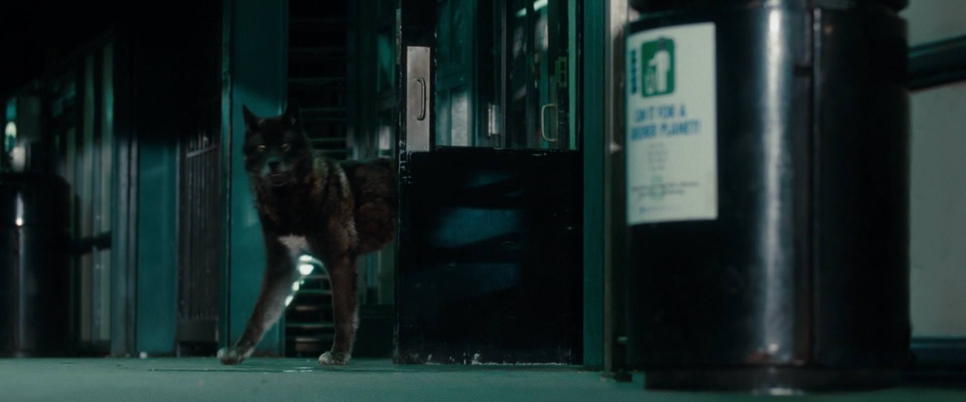 The Sorcerer’s Apprentice (2010) movie still 2641